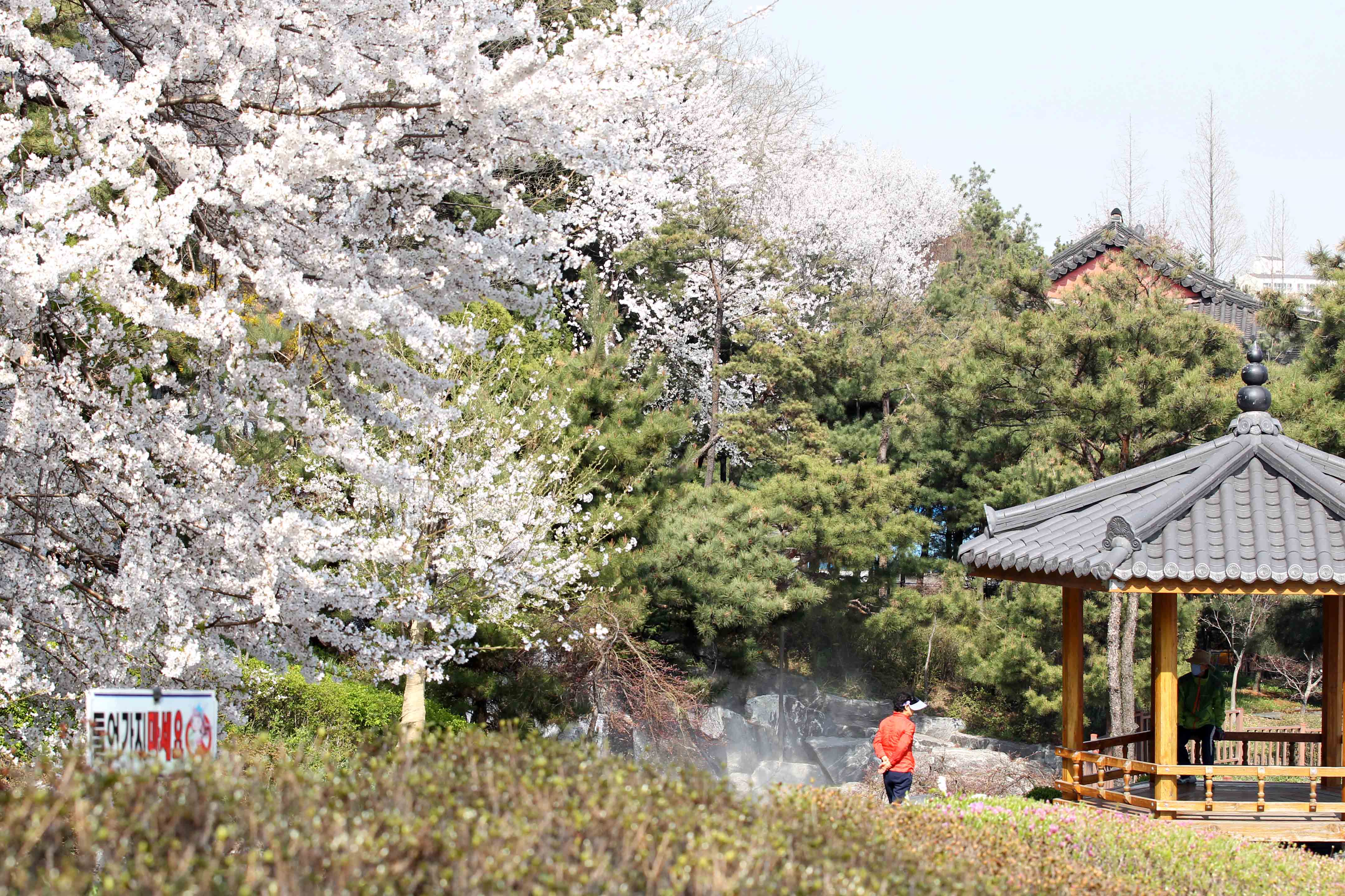 20160411_화도진공원_송현근린공원_봄_스케치19.jpg 이미지
