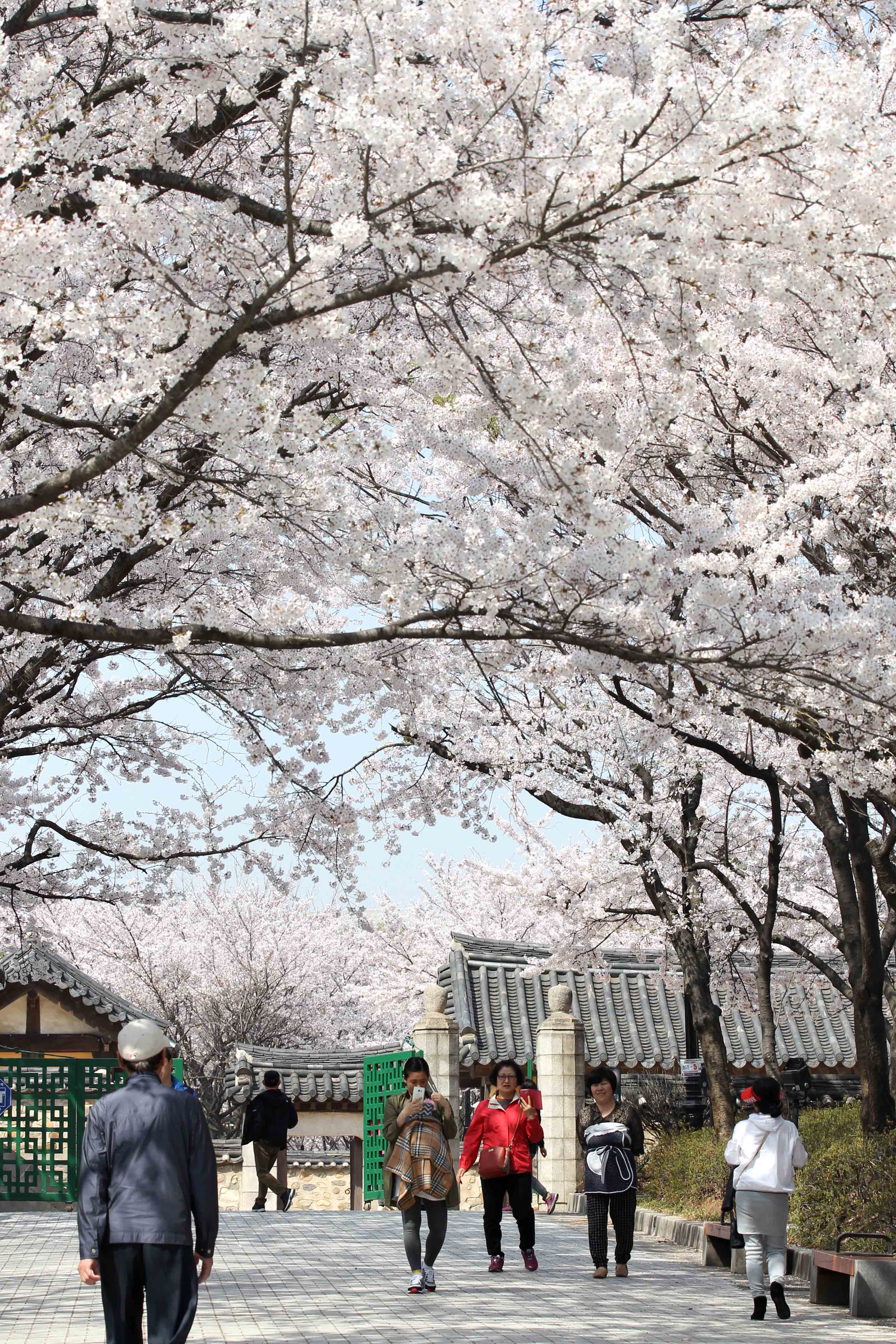 20160411_화도진공원_송현근린공원_봄_스케치2.jpg 이미지