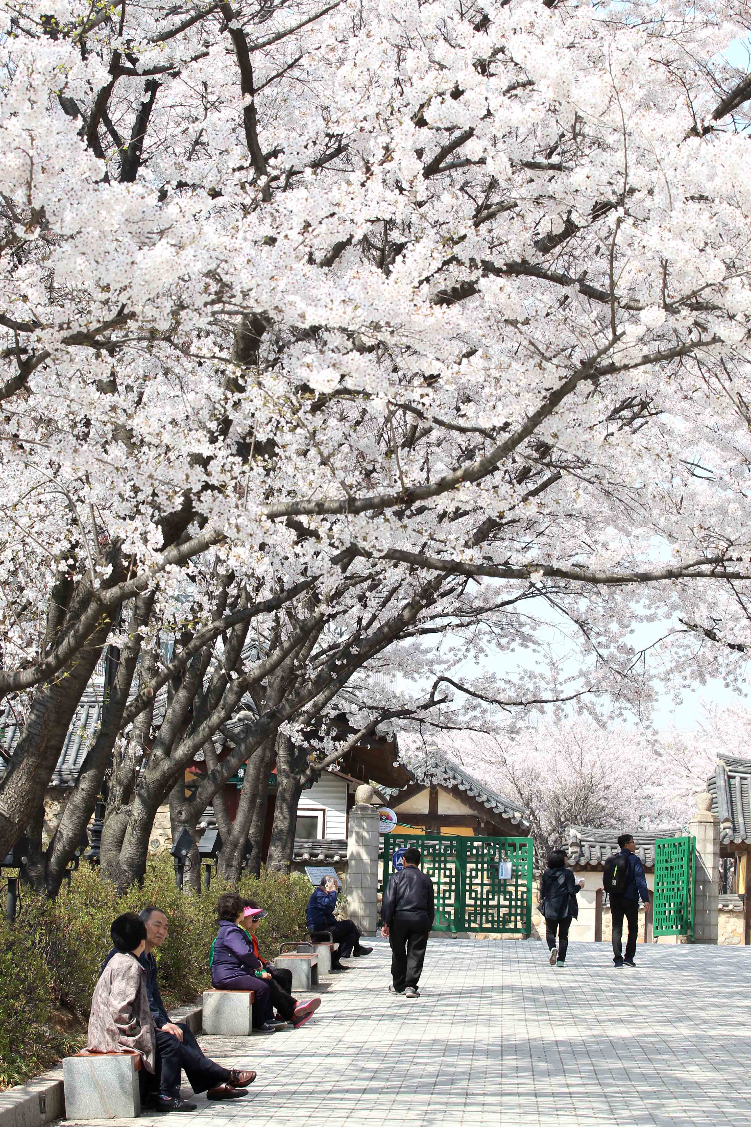 20160411_화도진공원_송현근린공원_봄_스케치3.jpg 이미지