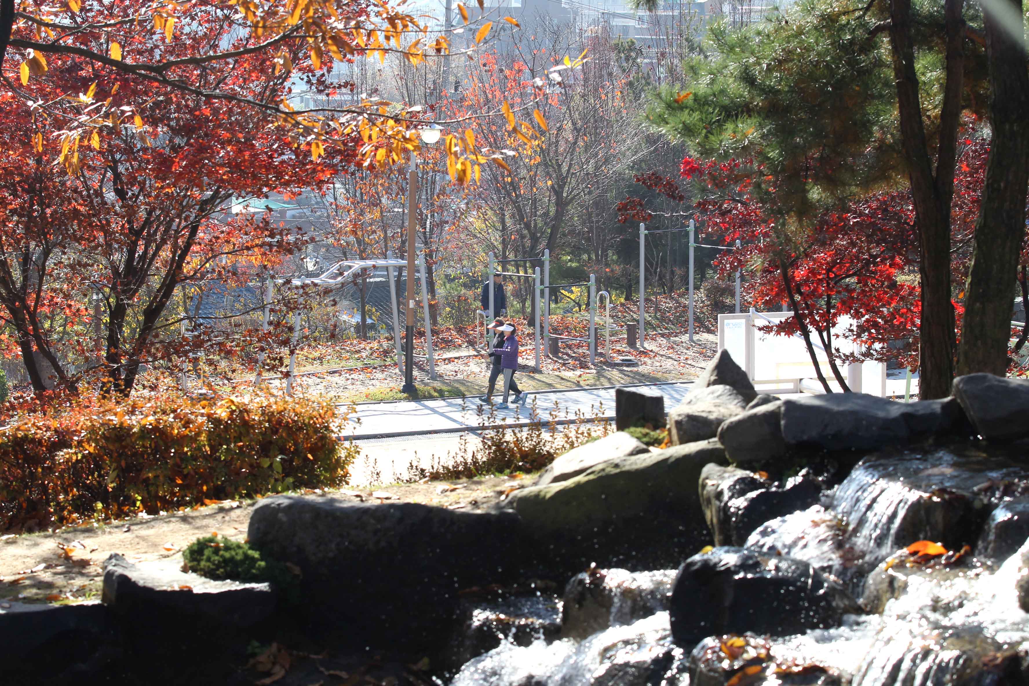 20161115_송현근린공원_가을_스케치10.jpg 이미지