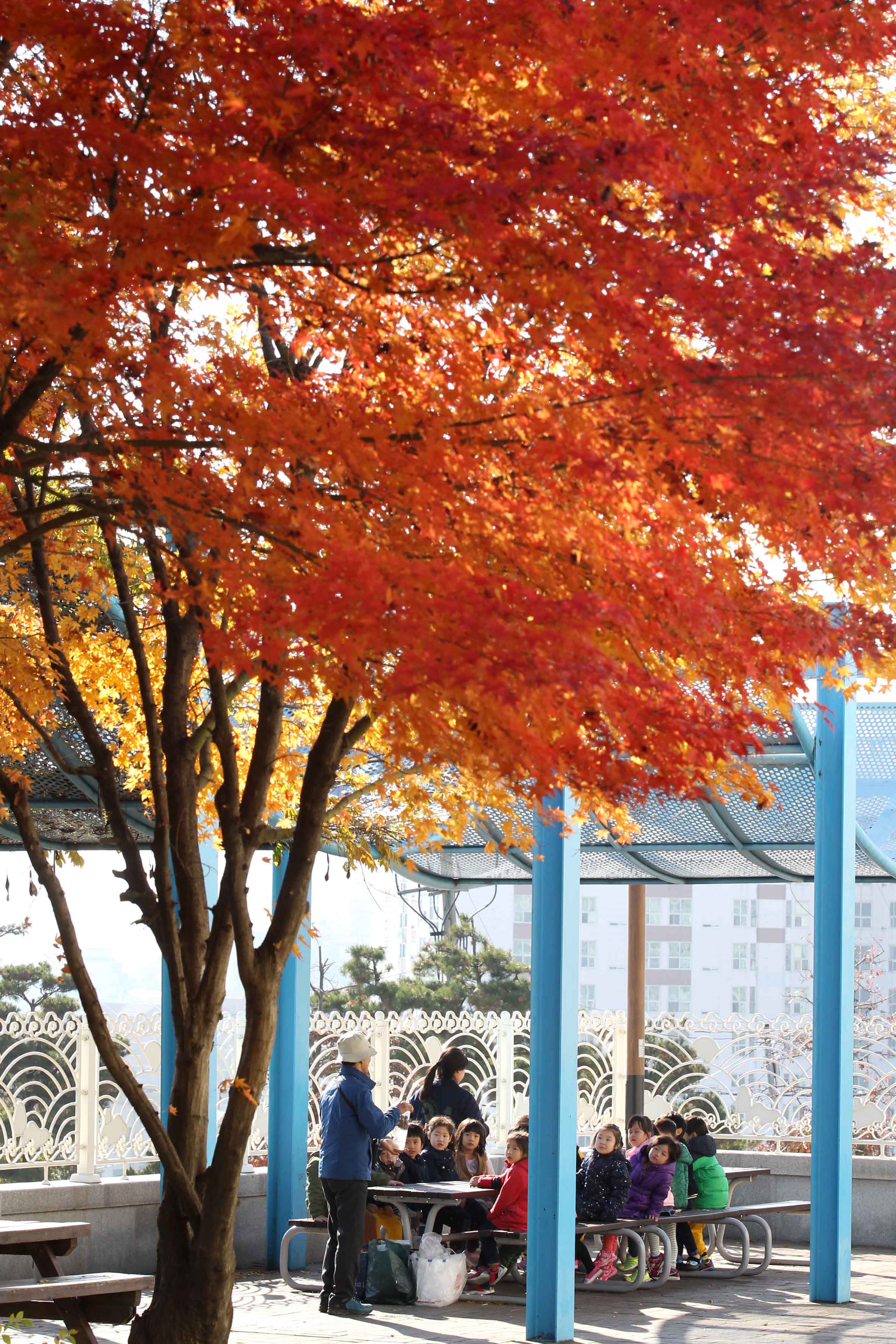 20161115_송현근린공원_가을_스케치9.jpg 이미지