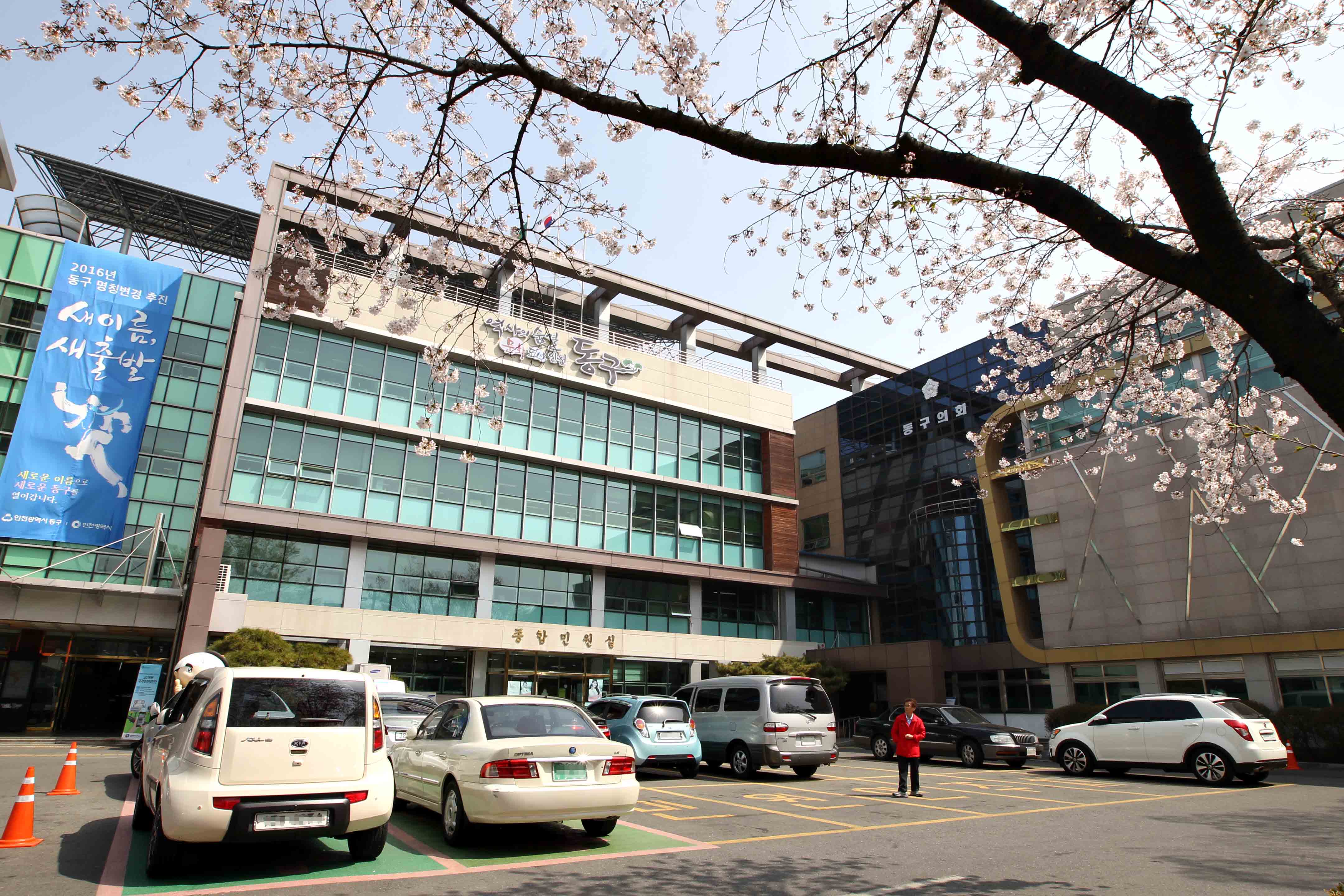 동구청전경_벚꽃.jpg 이미지