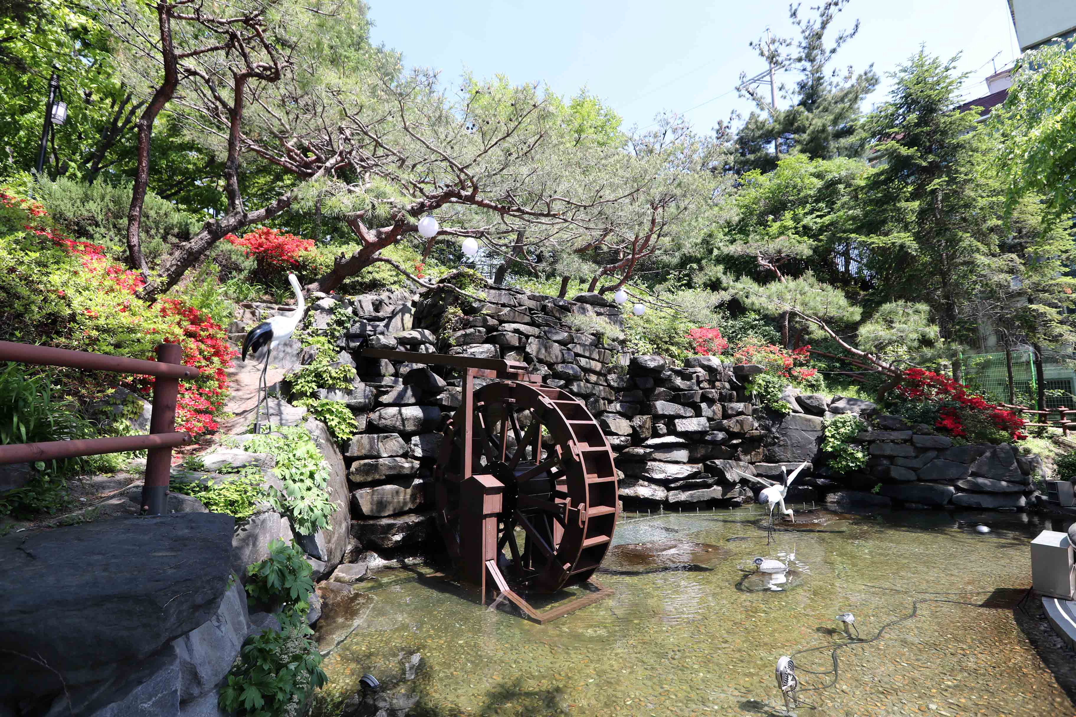 20180504_화도진공원_철쭉8.jpg 이미지