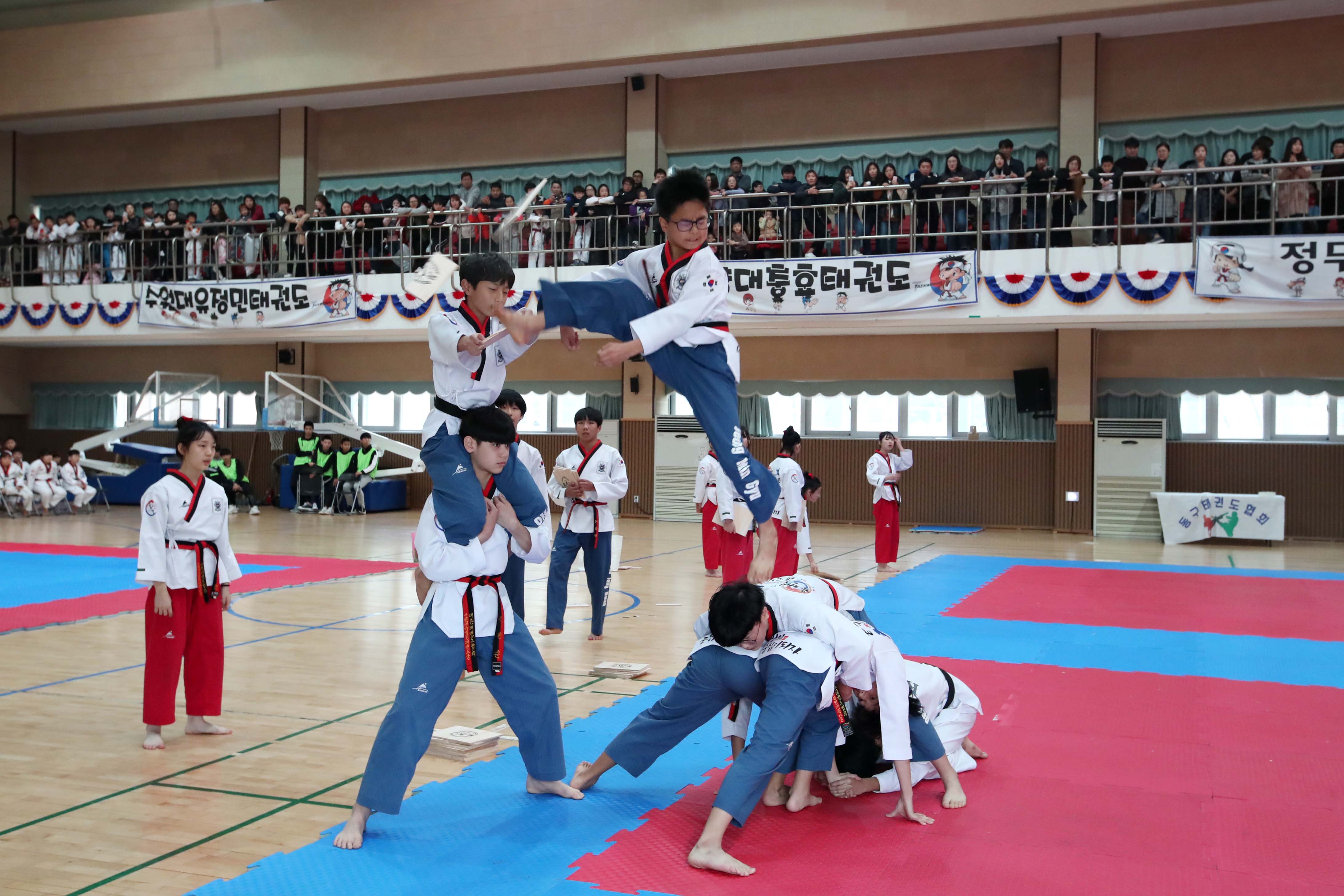20181110_제19회_동구청장배_태권도대회12.jpg 이미지