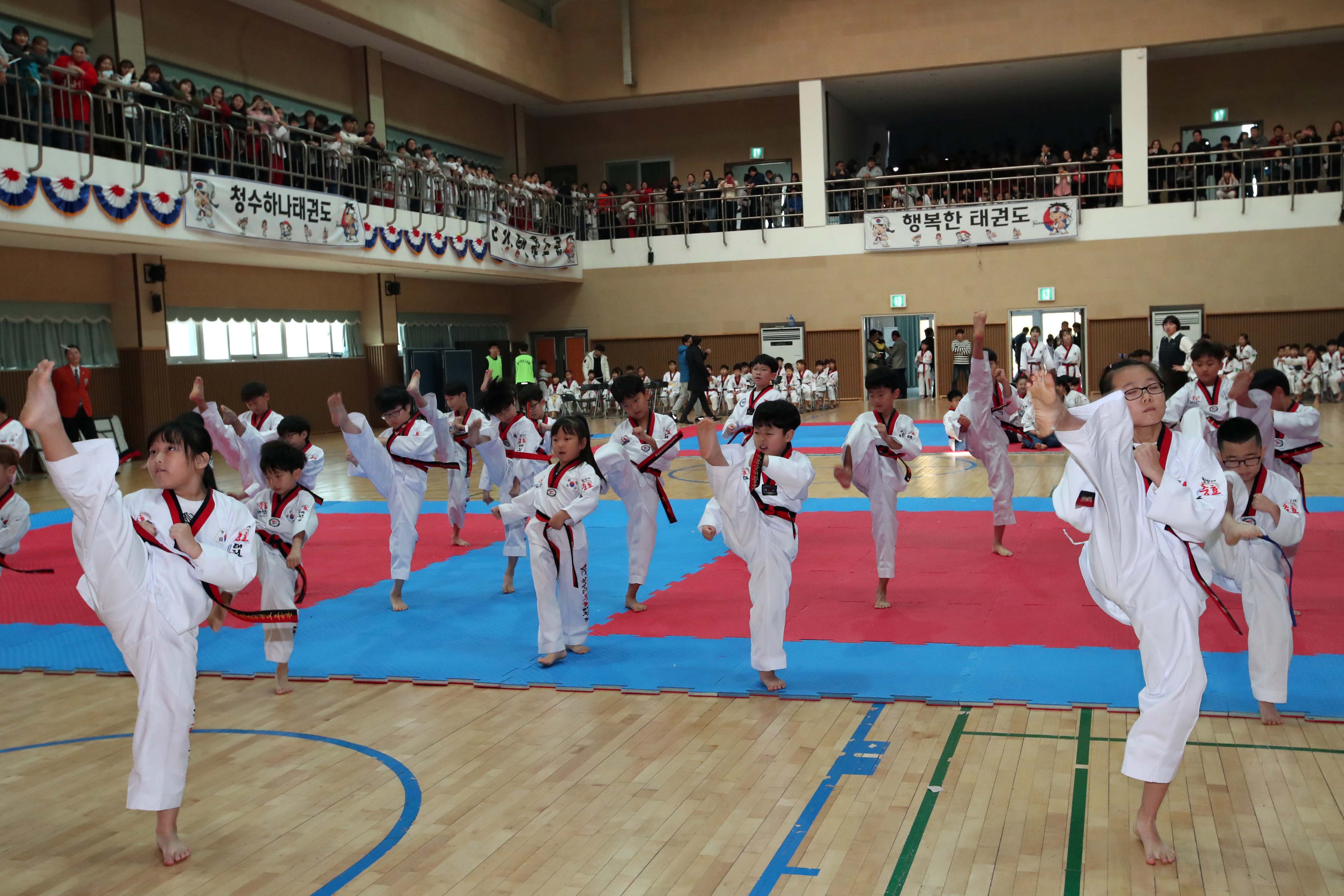 20181110_제19회_동구청장배_태권도대회13.jpg 이미지