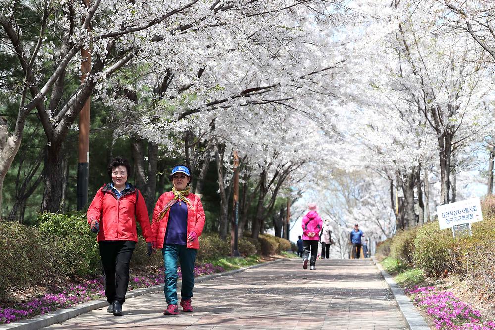 송현근린공원 봄 스케치 사진