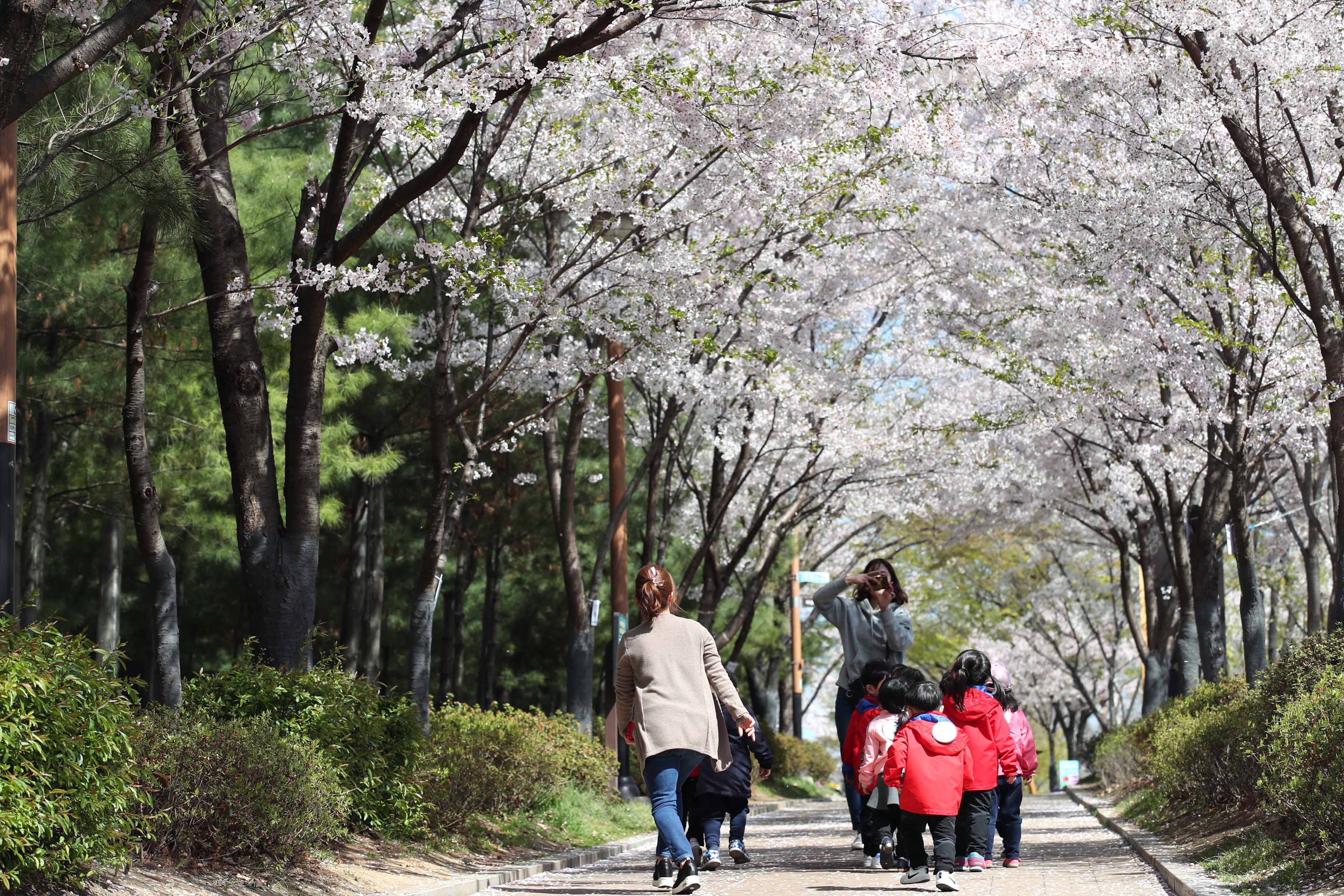 20190417_송현공원_스케치13.jpg 이미지
