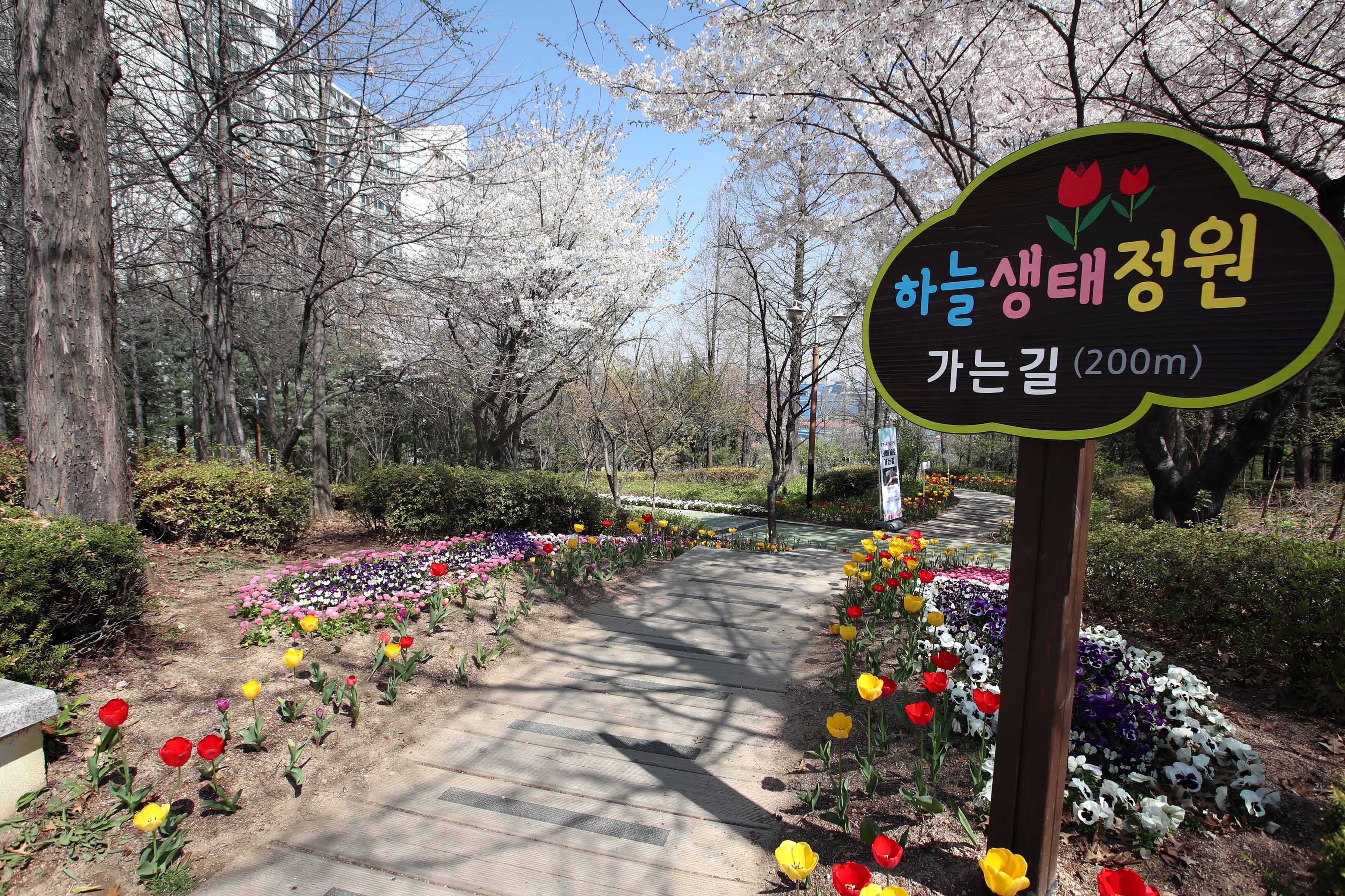 20190417_송현공원_스케치5.jpg 이미지
