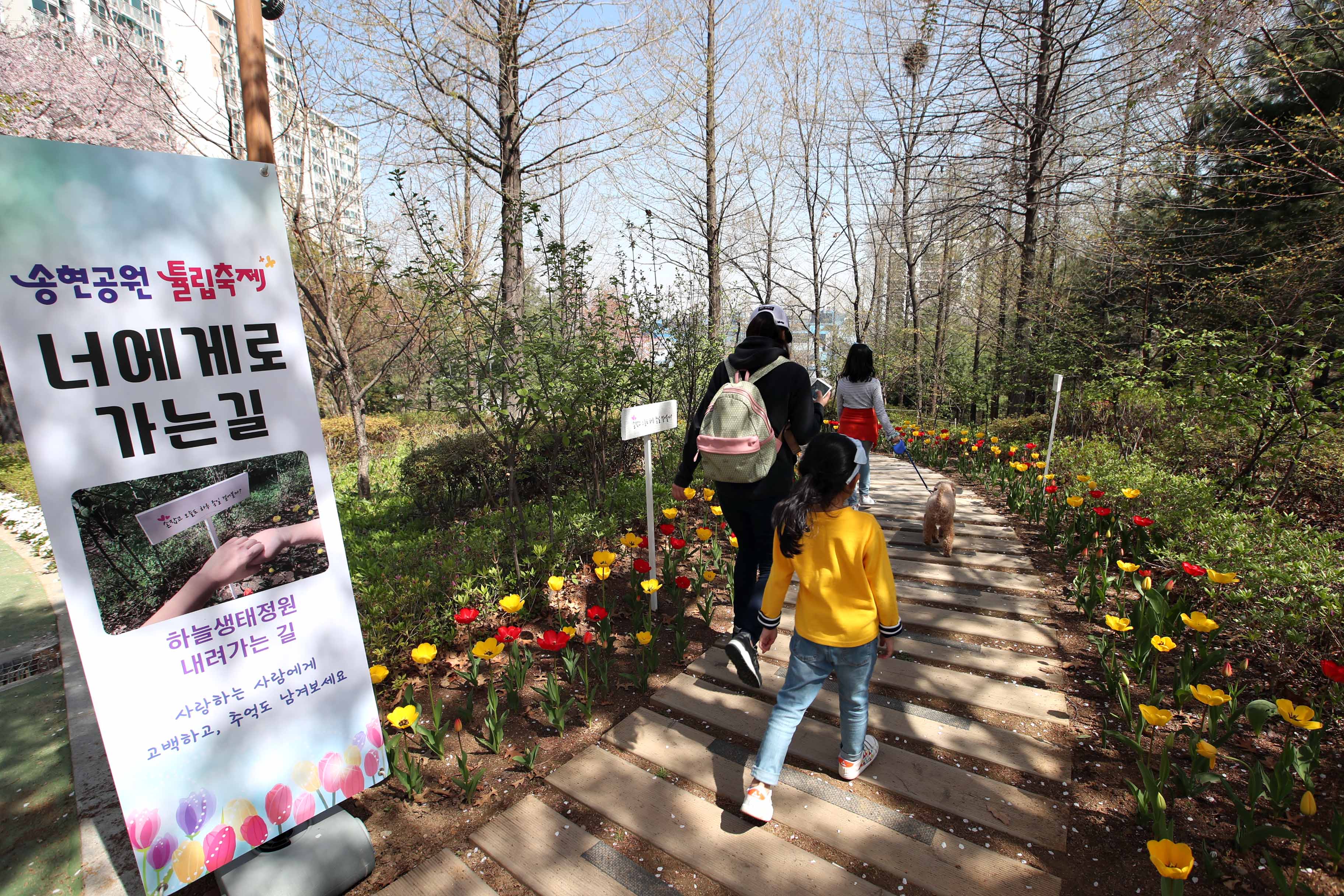 20190417_송현공원_스케치7.jpg 이미지