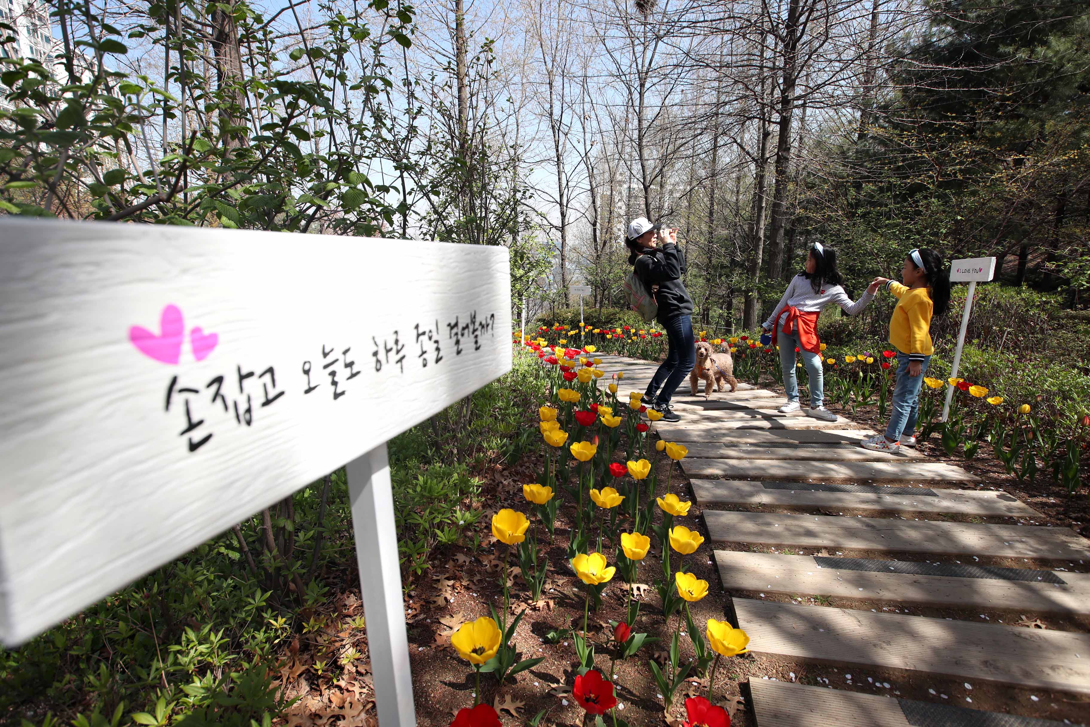 20190417_송현공원_스케치8.jpg 이미지
