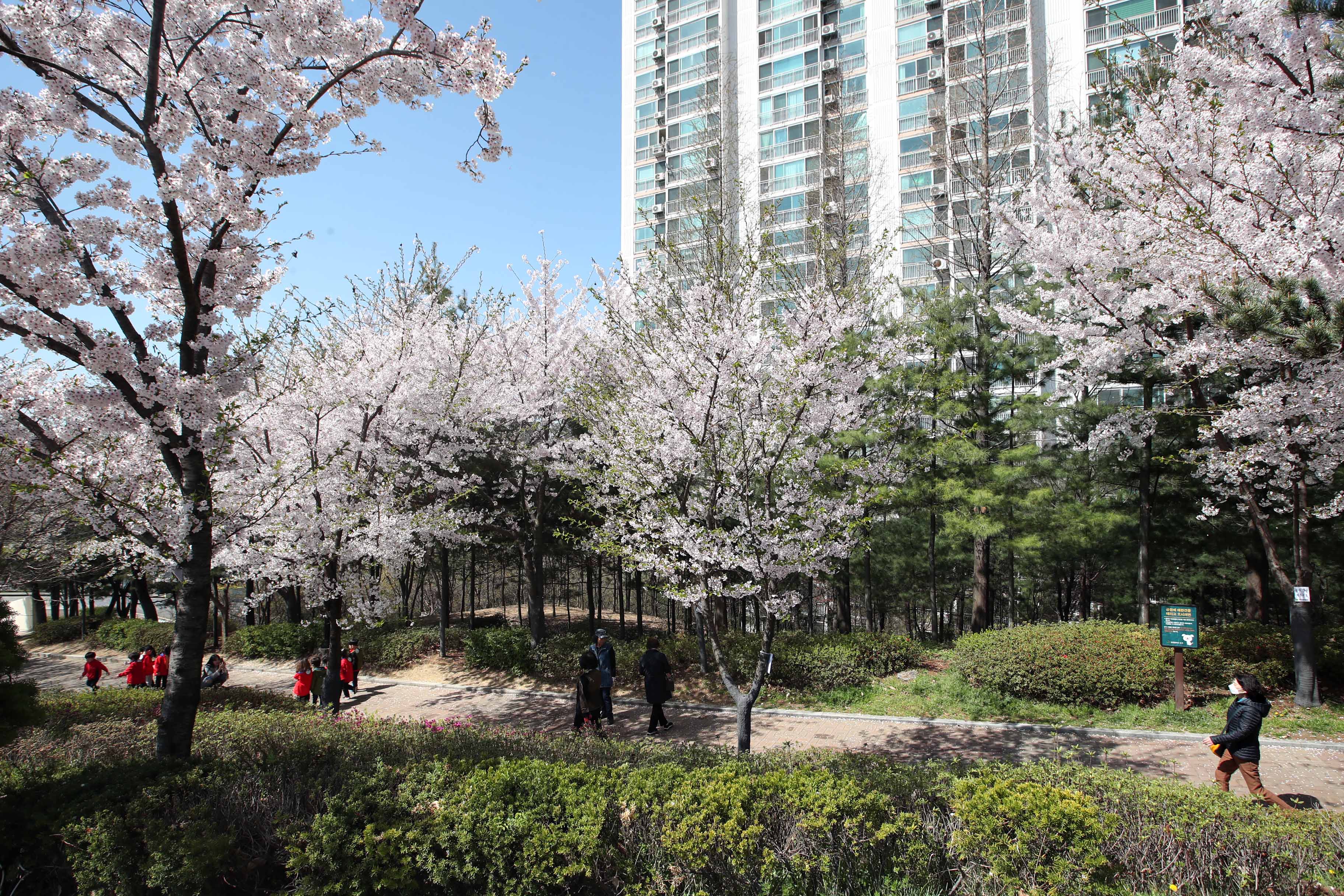 20190417_송현공원_스케치9.jpg 이미지