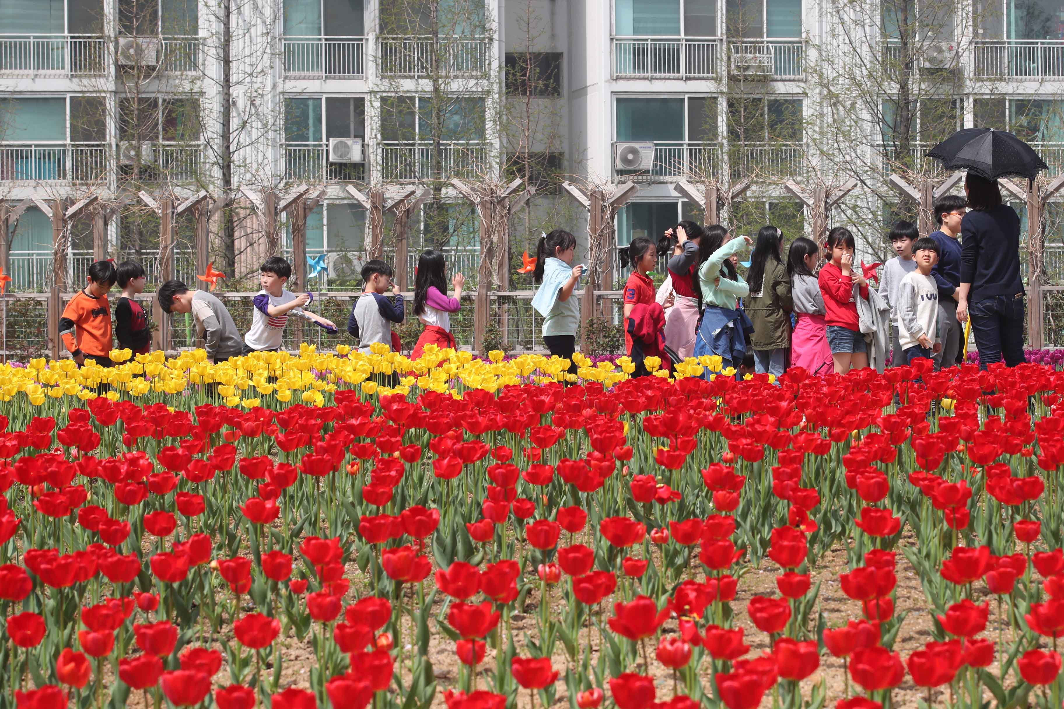 20190422_송현근린공원_하늘생태정원_튤립축제11.jpg 이미지
