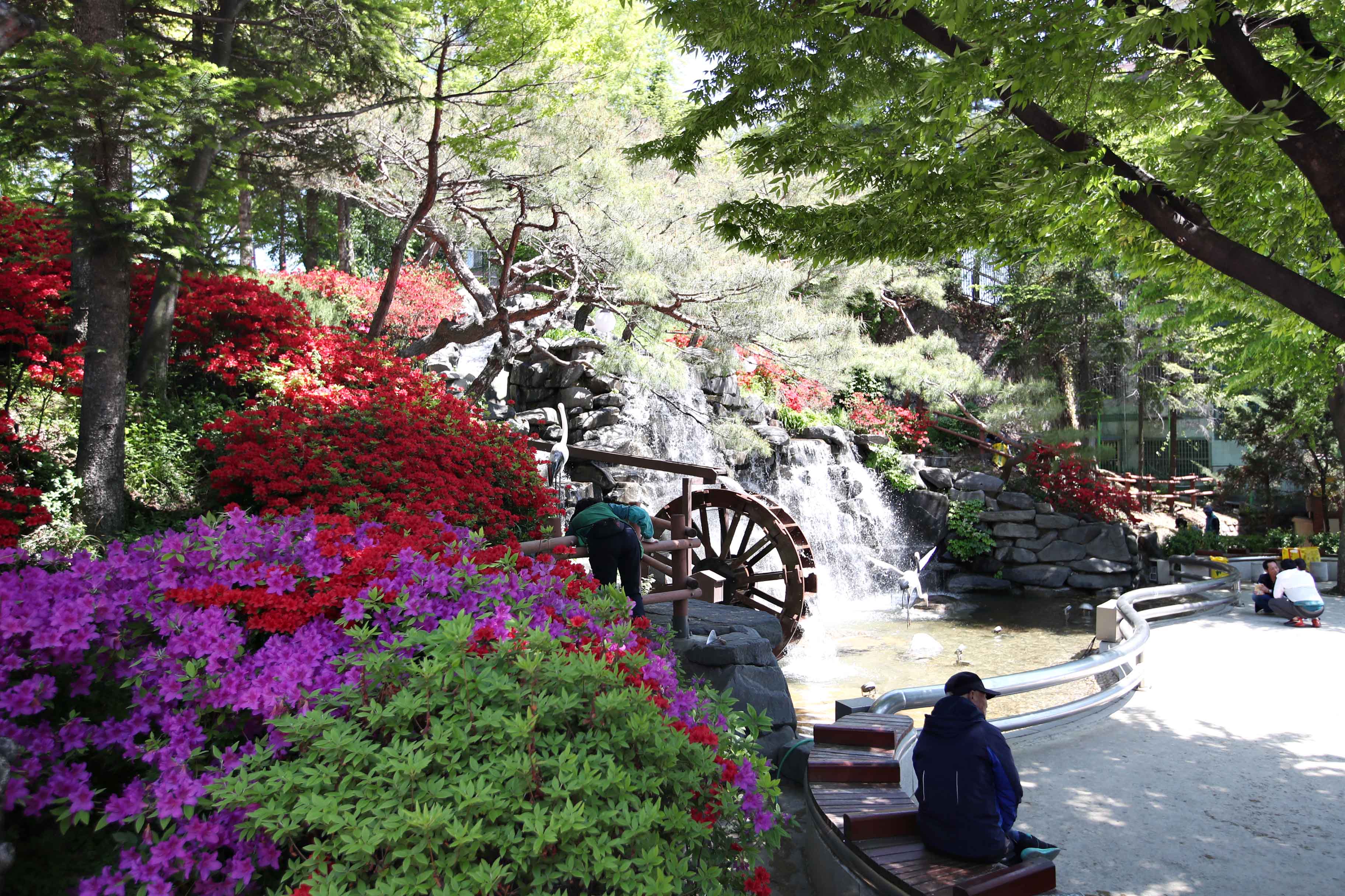 20190502_화도진공원_철쭉_스케치2.jpg 이미지