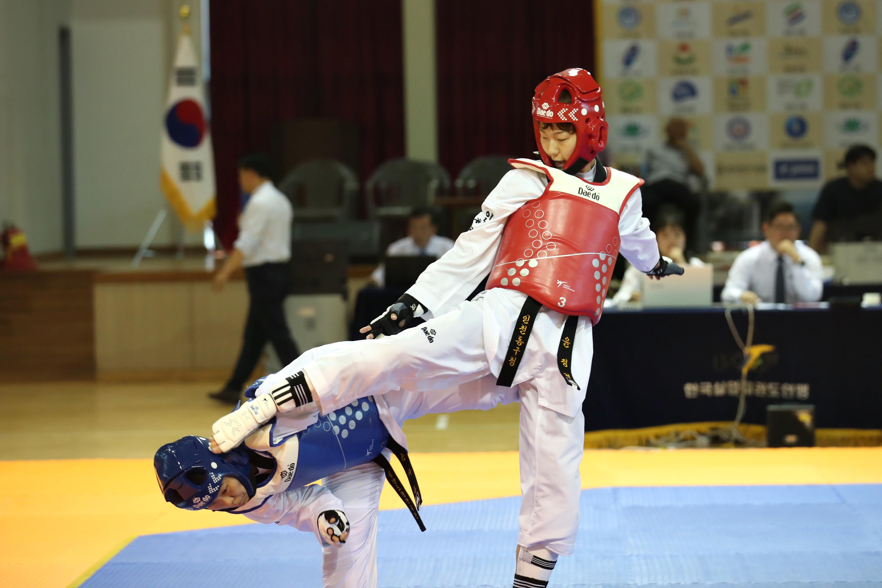 20190822-24_2019_한국실업최강전_전국태권도대회_응원13.jpg 이미지