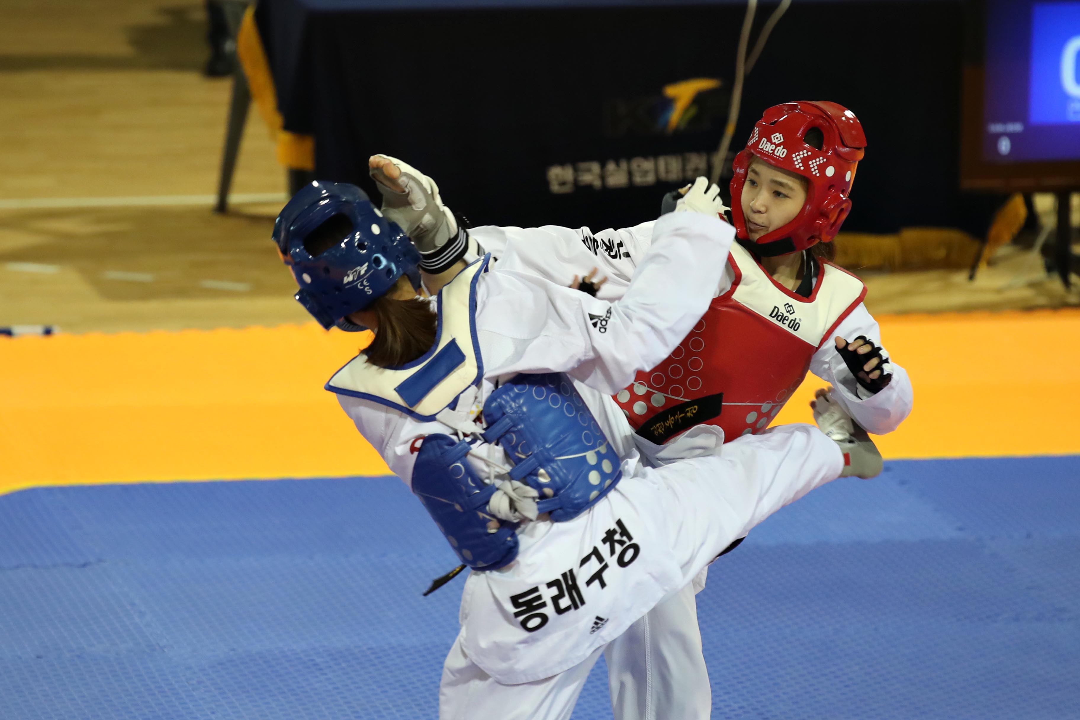 20190822-24_2019_한국실업최강전_전국태권도대회_응원3.jpg 이미지