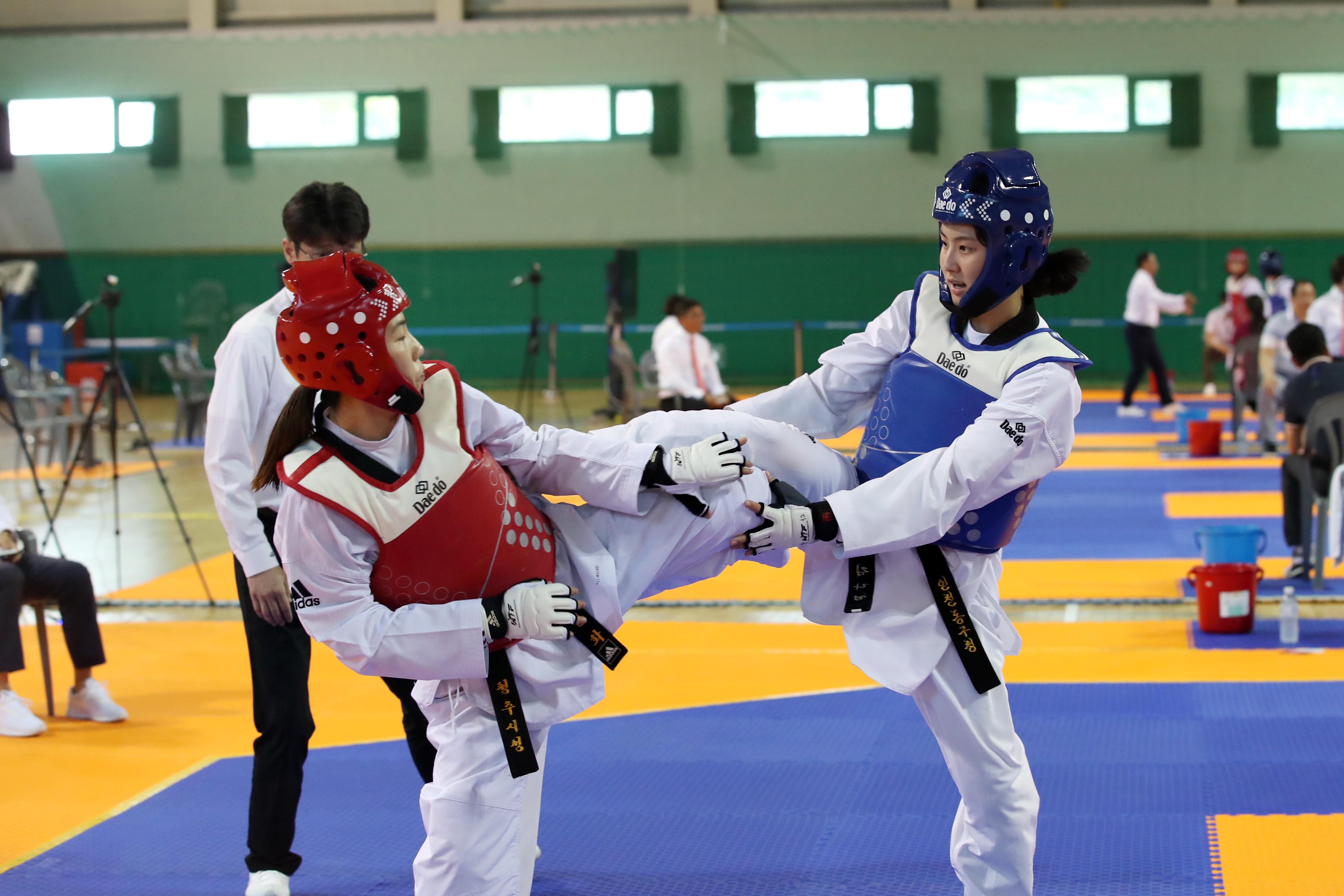 20190822-24_2019_한국실업최강전_전국태권도대회_응원4.jpg 이미지