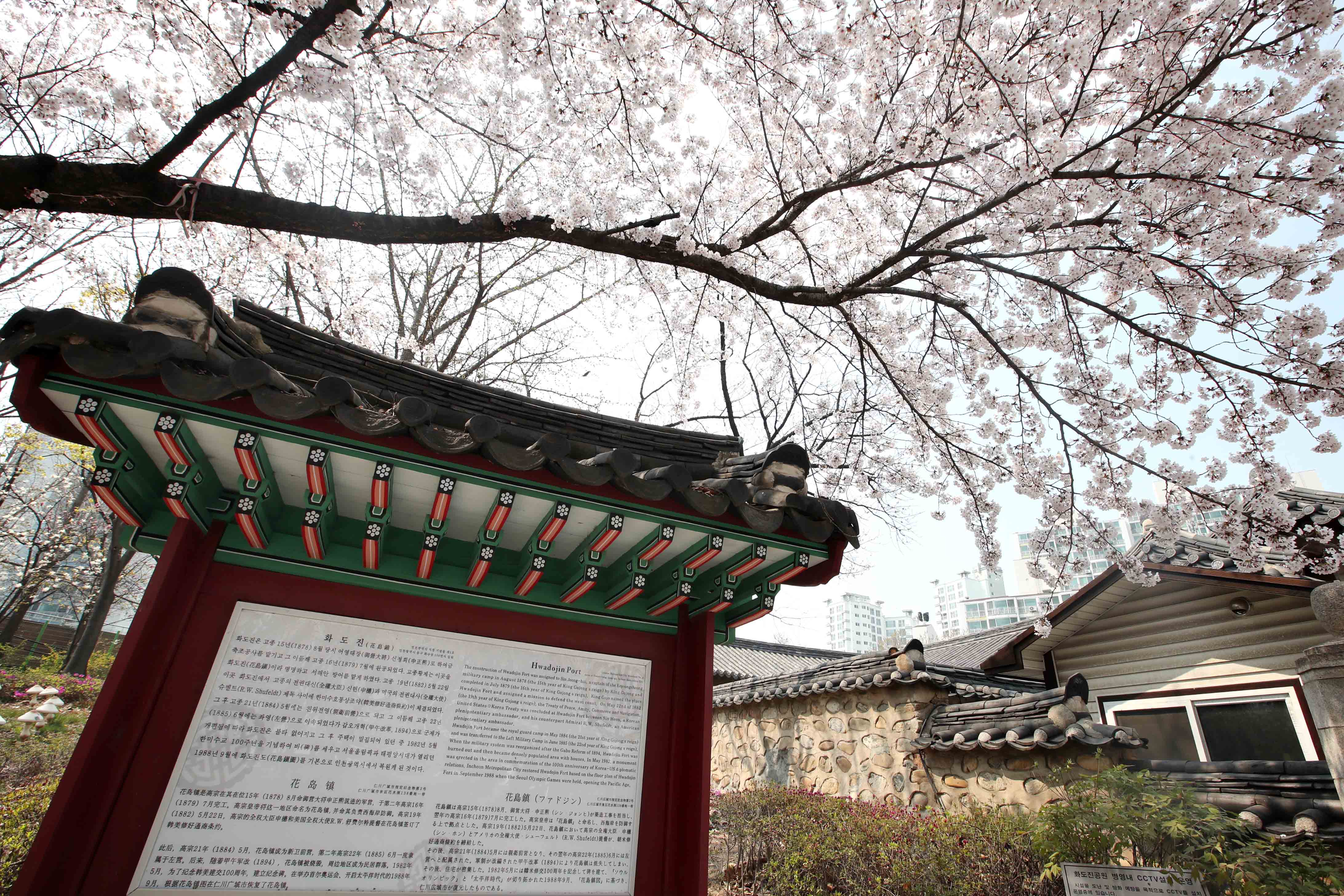 20200410_화도진공원_봄_벚꽃_스케치15.jpg 이미지