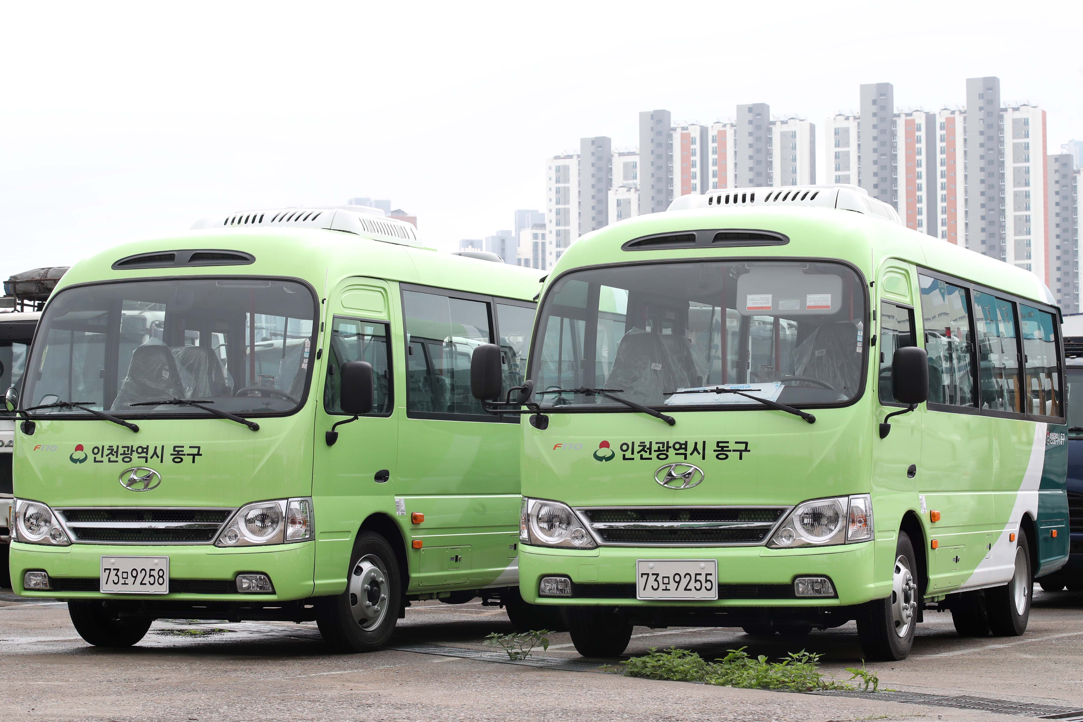 20200730_동구버스_스케치4.jpg 이미지