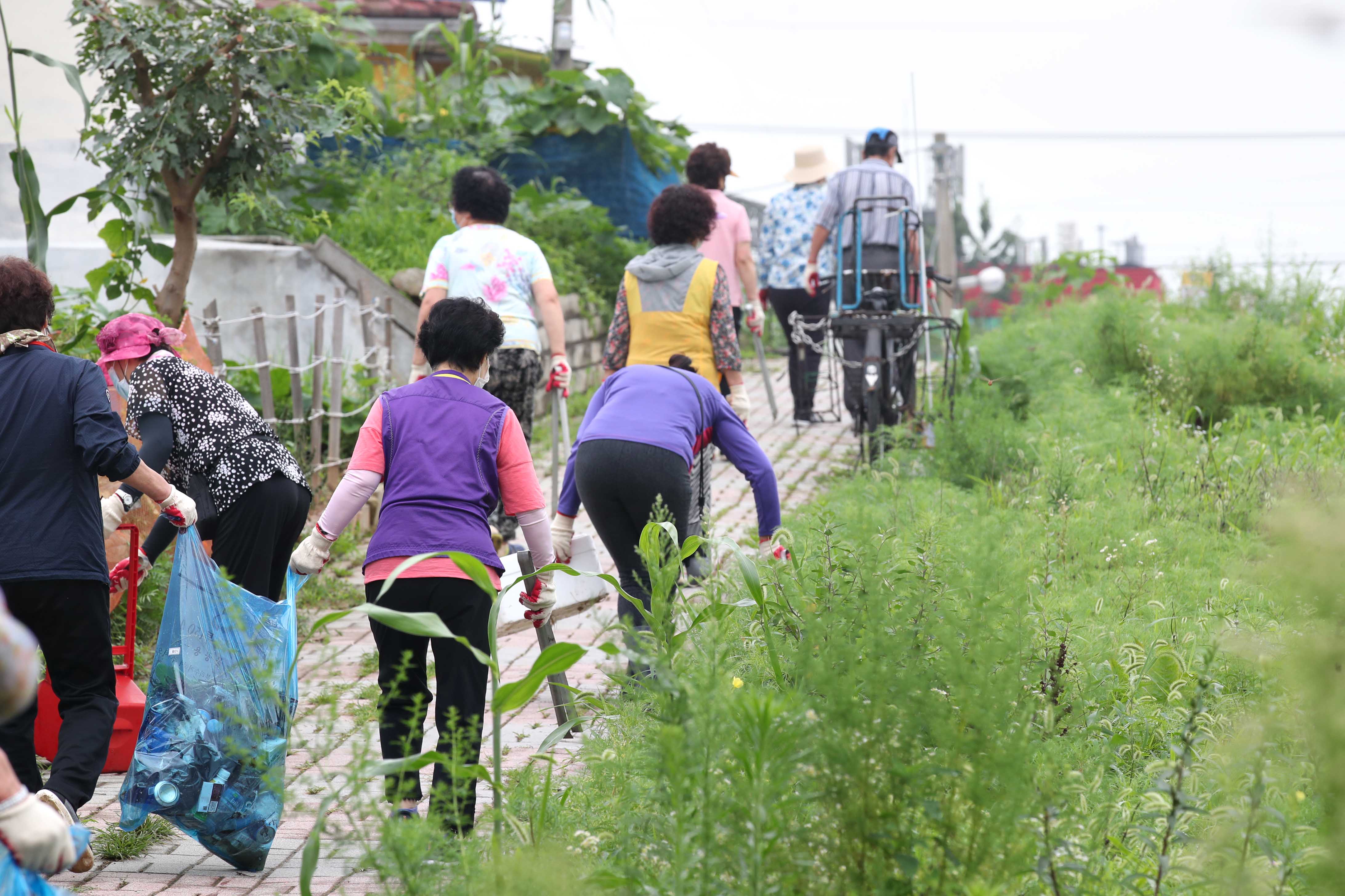 20200807_배다리_지하차도_상부_주변_여름맞이_대청소12.jpg 이미지