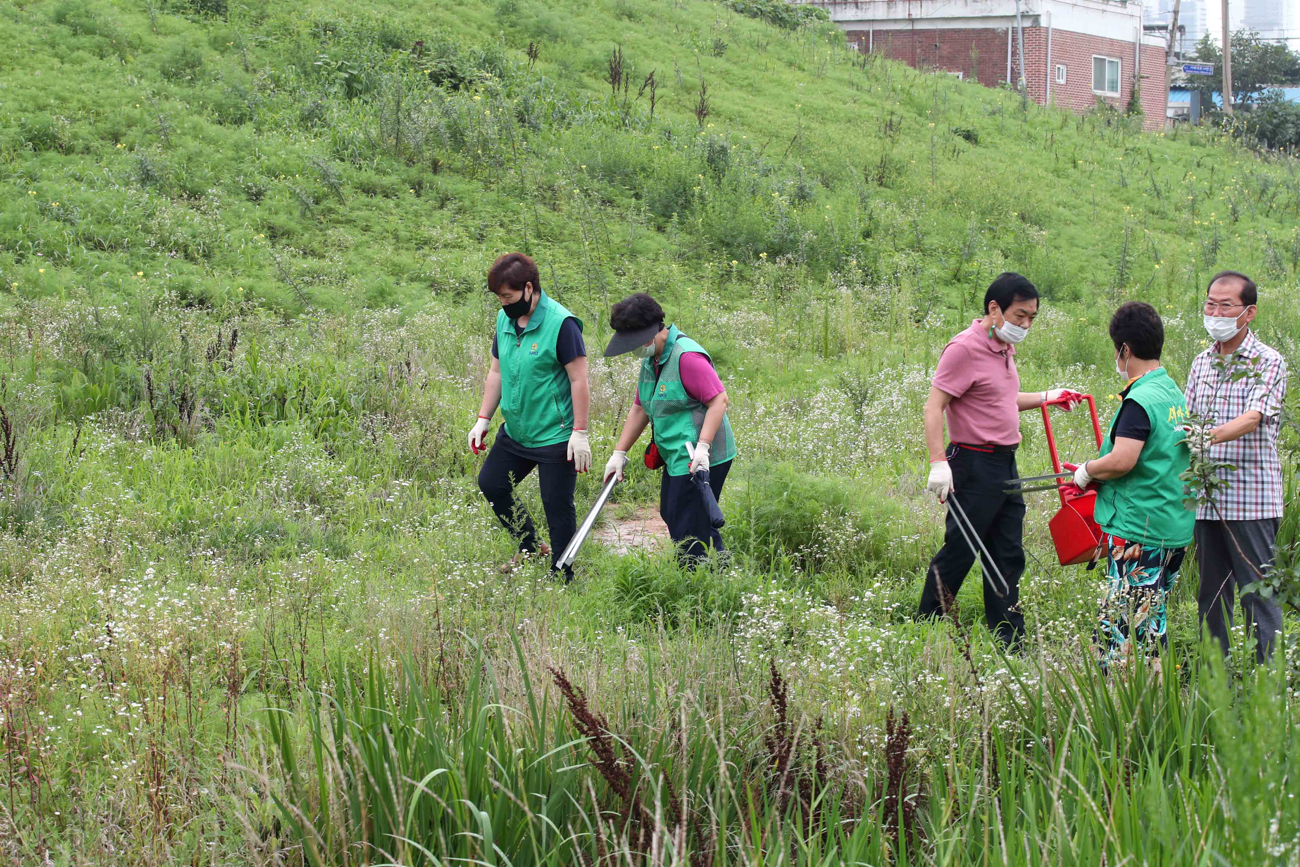 20200807_배다리_지하차도_상부_주변_여름맞이_대청소14.jpg 이미지
