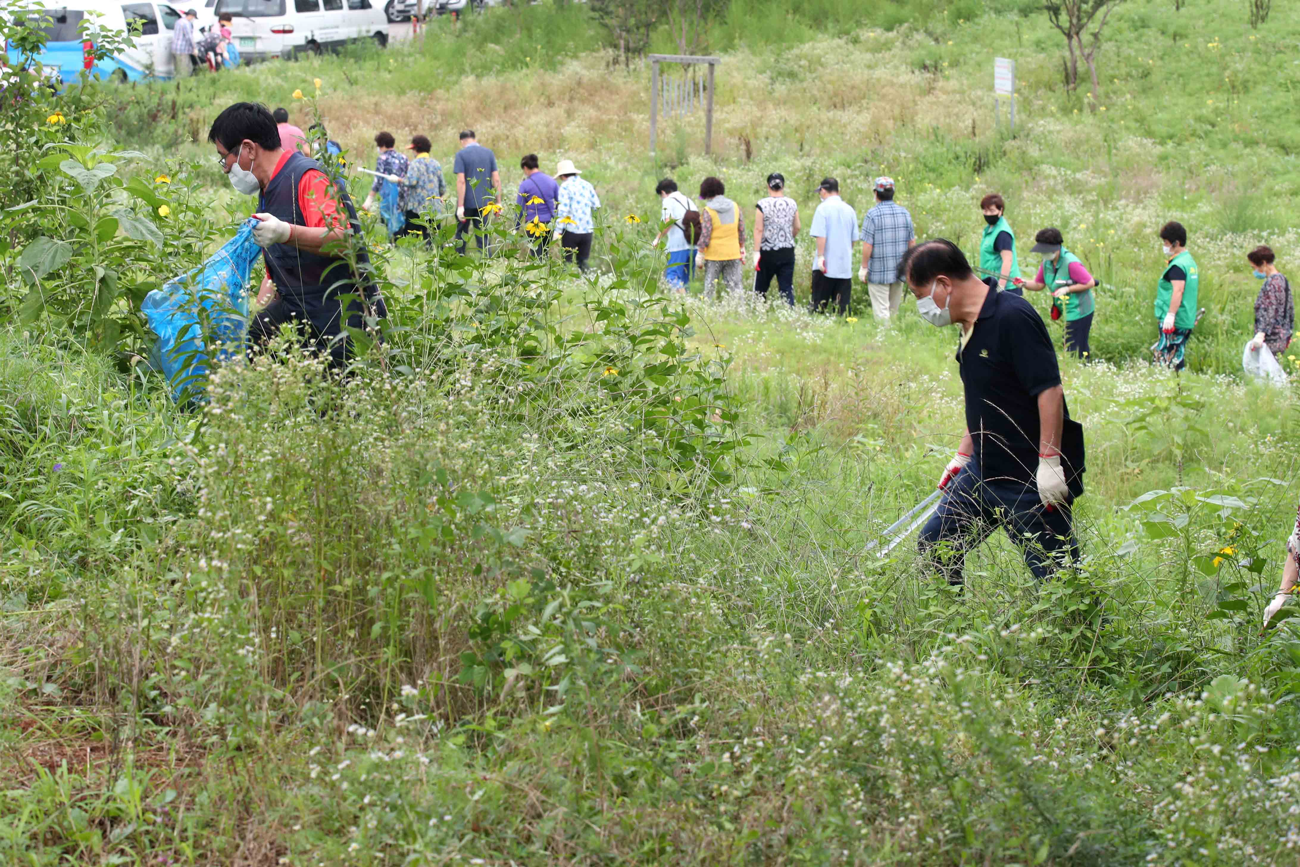 20200807_배다리_지하차도_상부_주변_여름맞이_대청소2.jpg 이미지