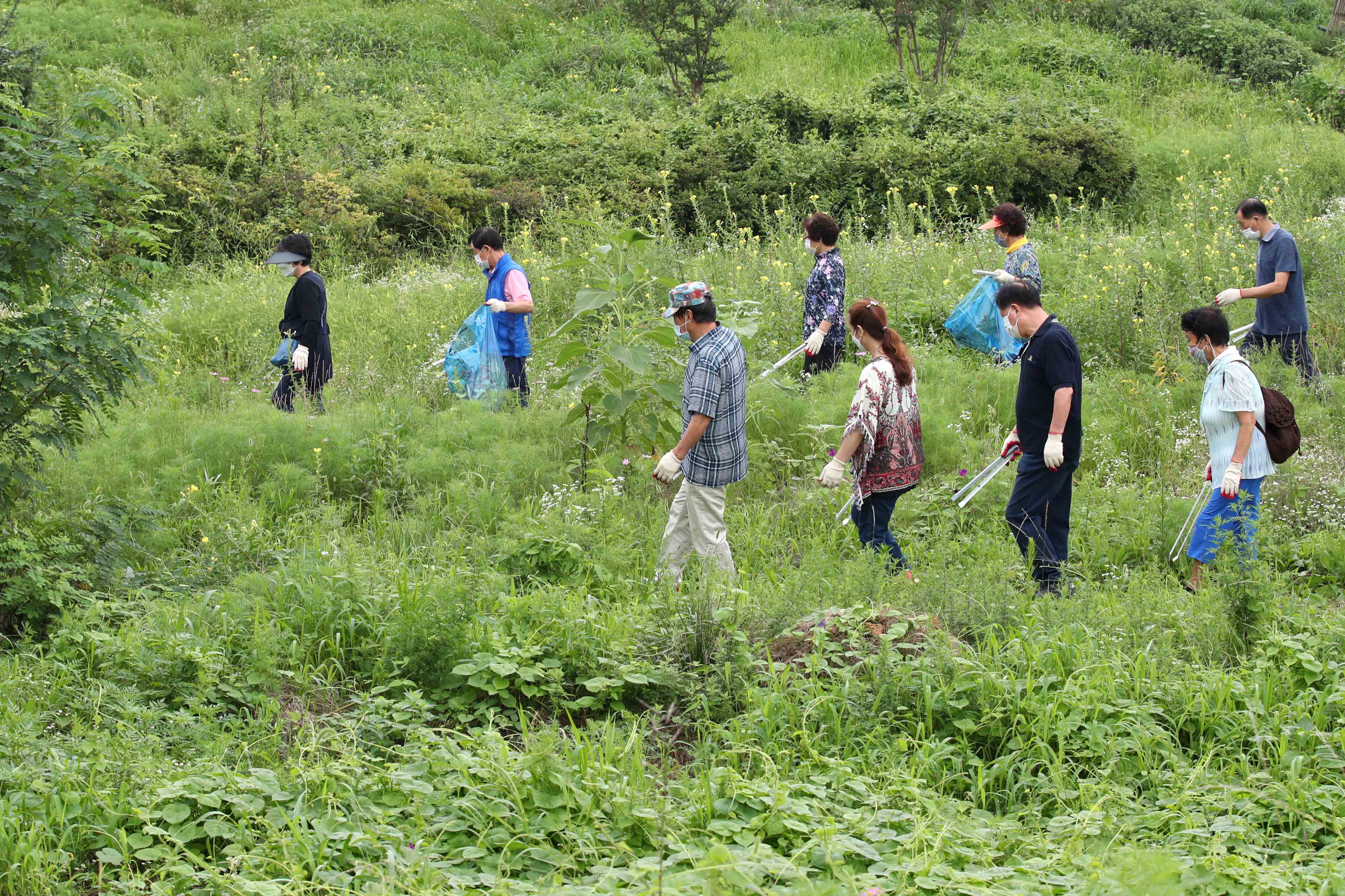 20200807_배다리_지하차도_상부_주변_여름맞이_대청소3.jpg 이미지