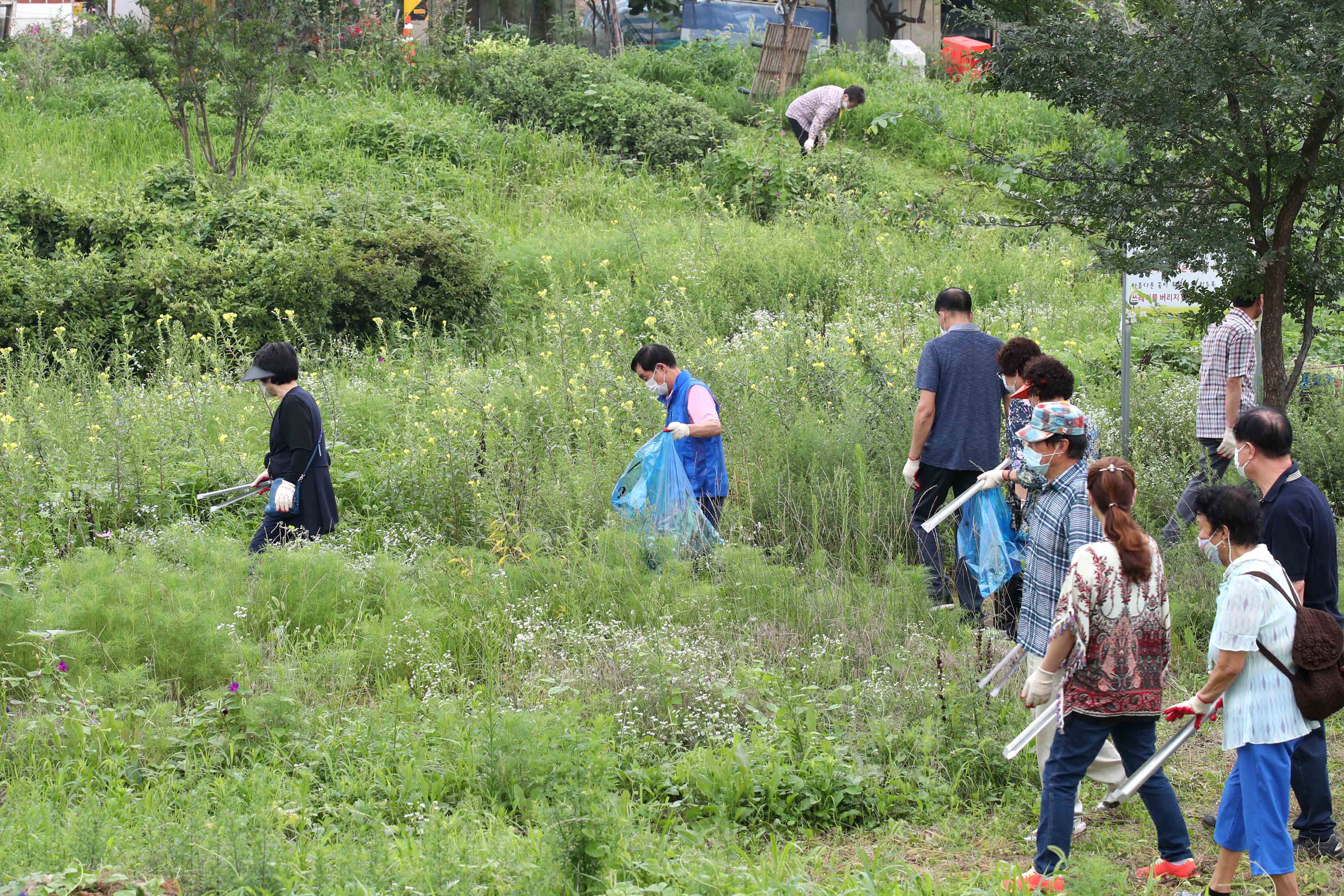 20200807_배다리_지하차도_상부_주변_여름맞이_대청소4.jpg 이미지