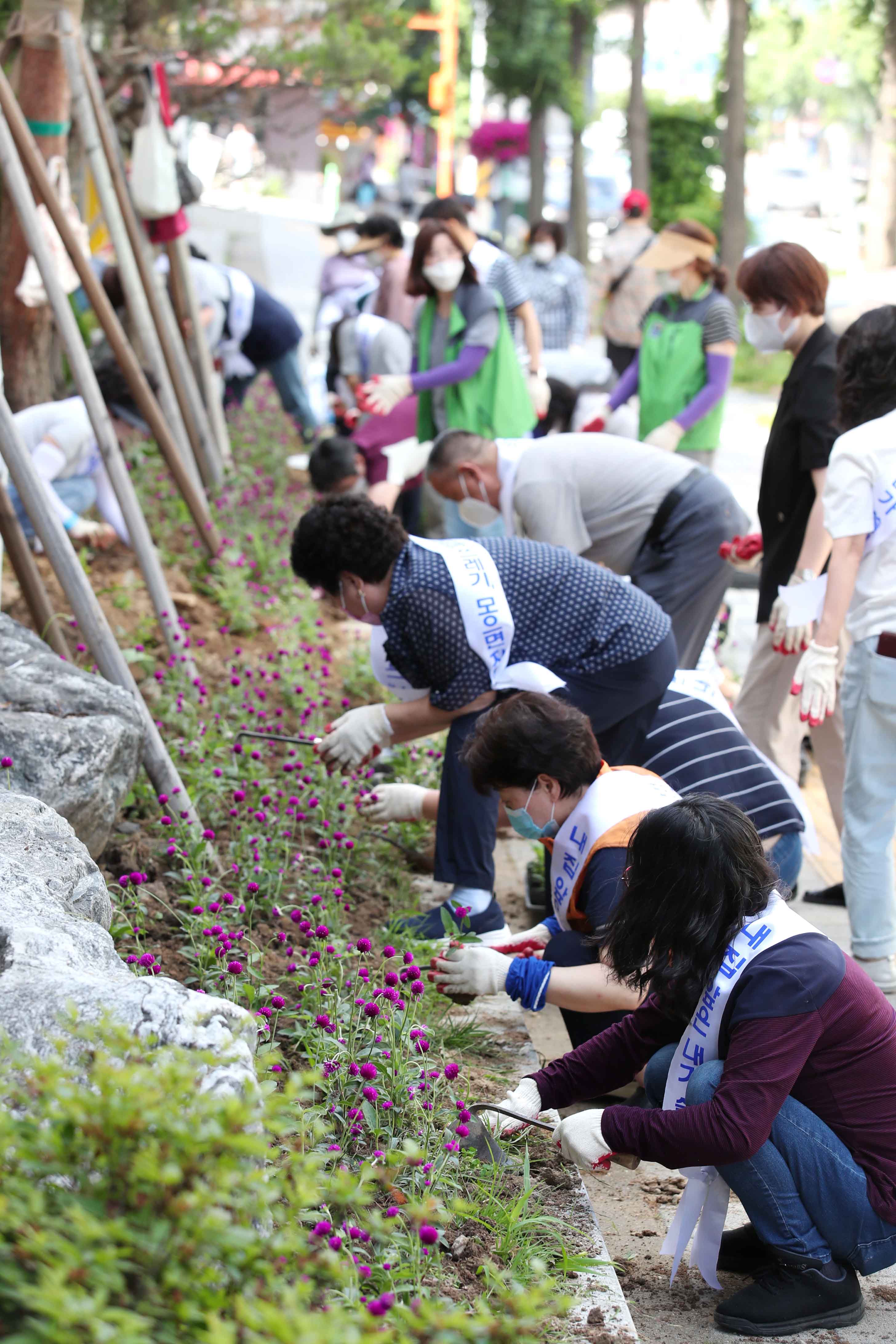 20210616_송현12동_초화_식재_행사10.jpg 이미지