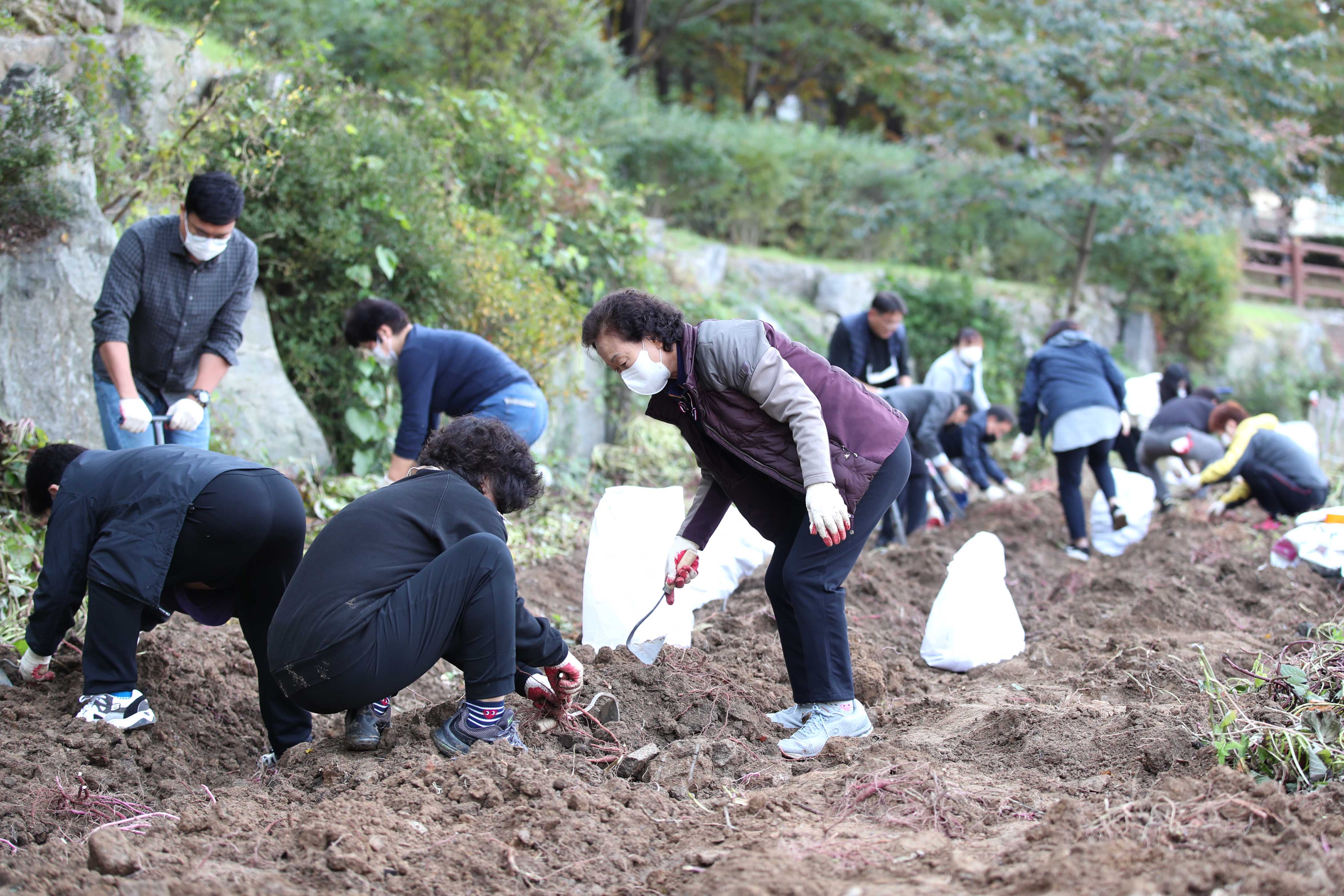 20211029_송현3동_행복나눔_텃밭_수확_행사2.jpg 이미지
