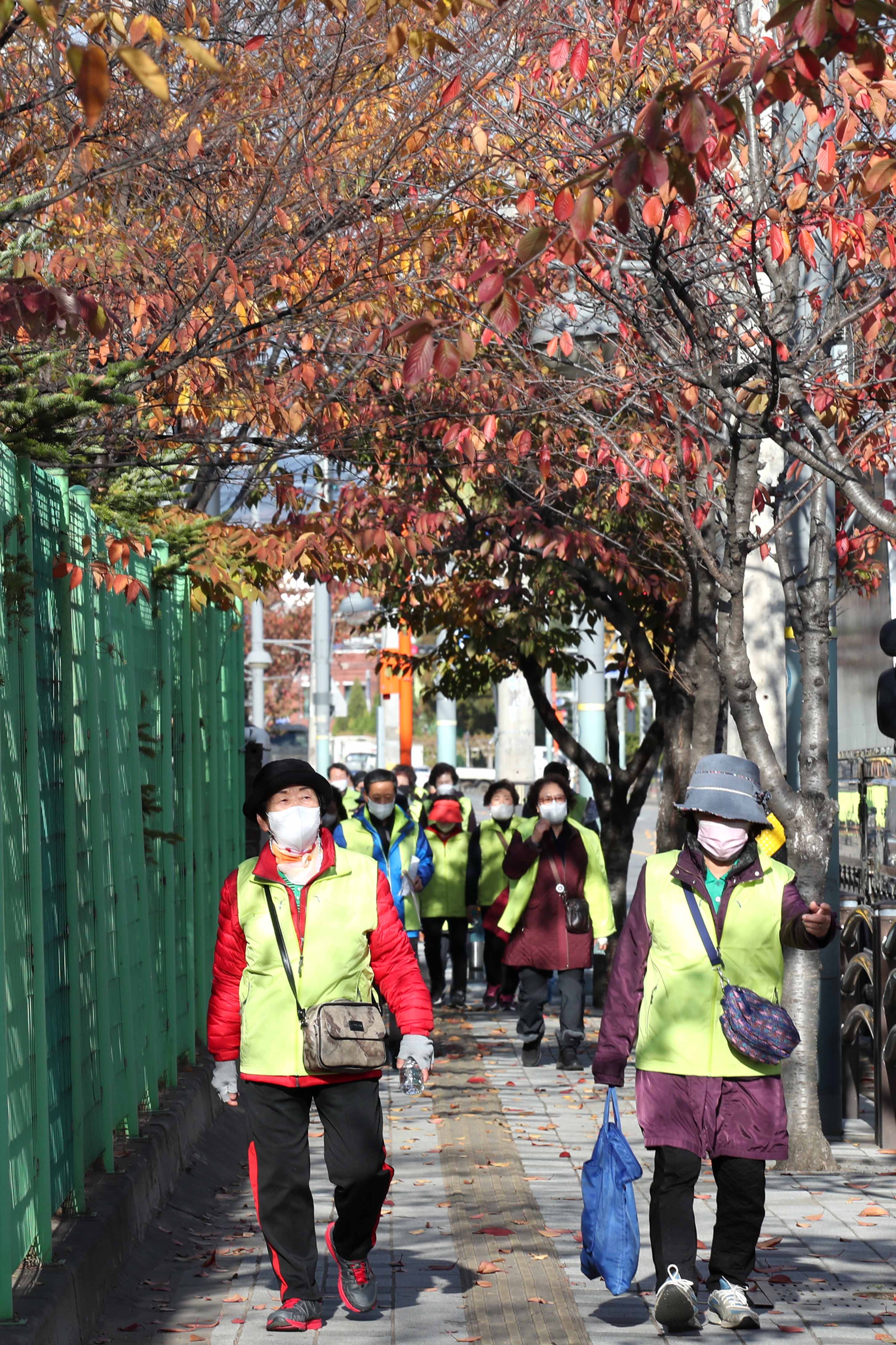 20211113_송림6동_함께하는_마을_둘레길_걷기14.jpg 이미지