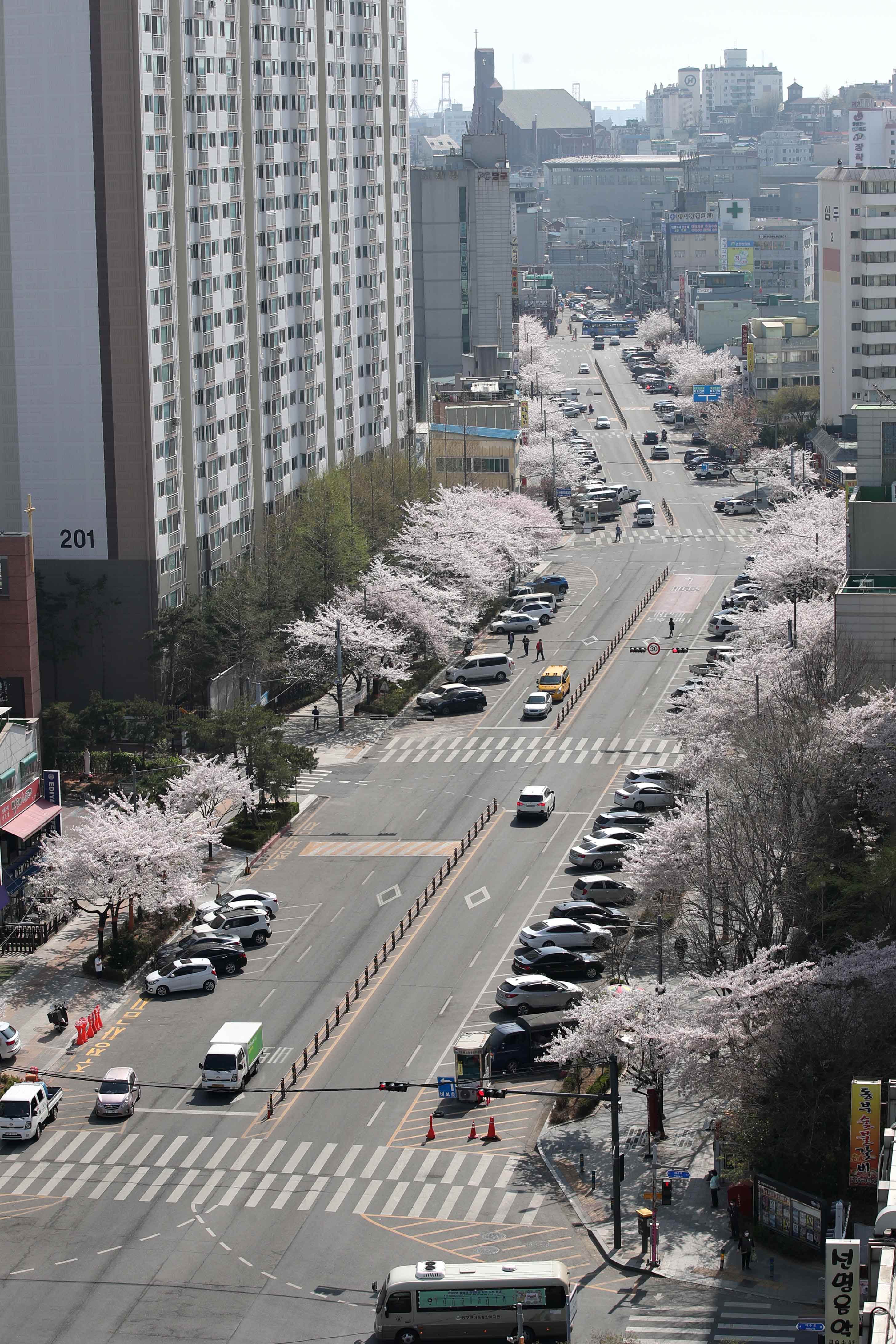 20220411_봄_벚꽃_스케치_수문통3.jpg 이미지