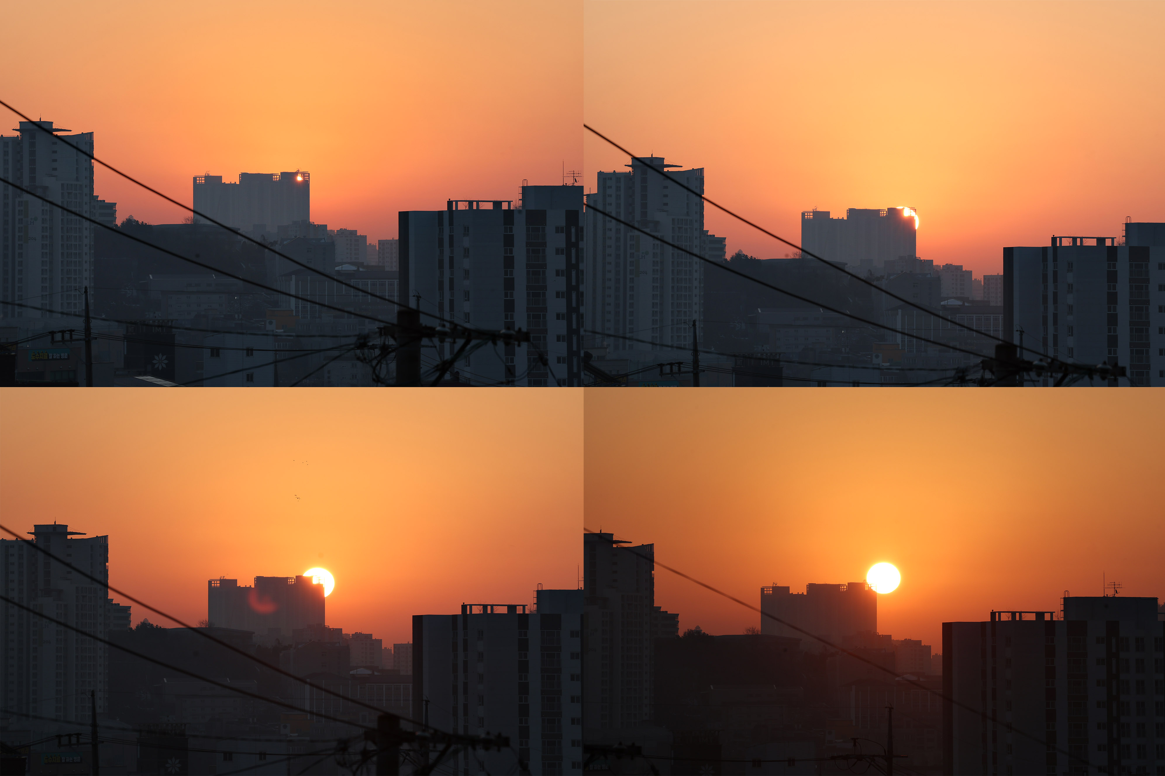 20230101_동구_새해_해맞이_행사_일출5.jpg 이미지