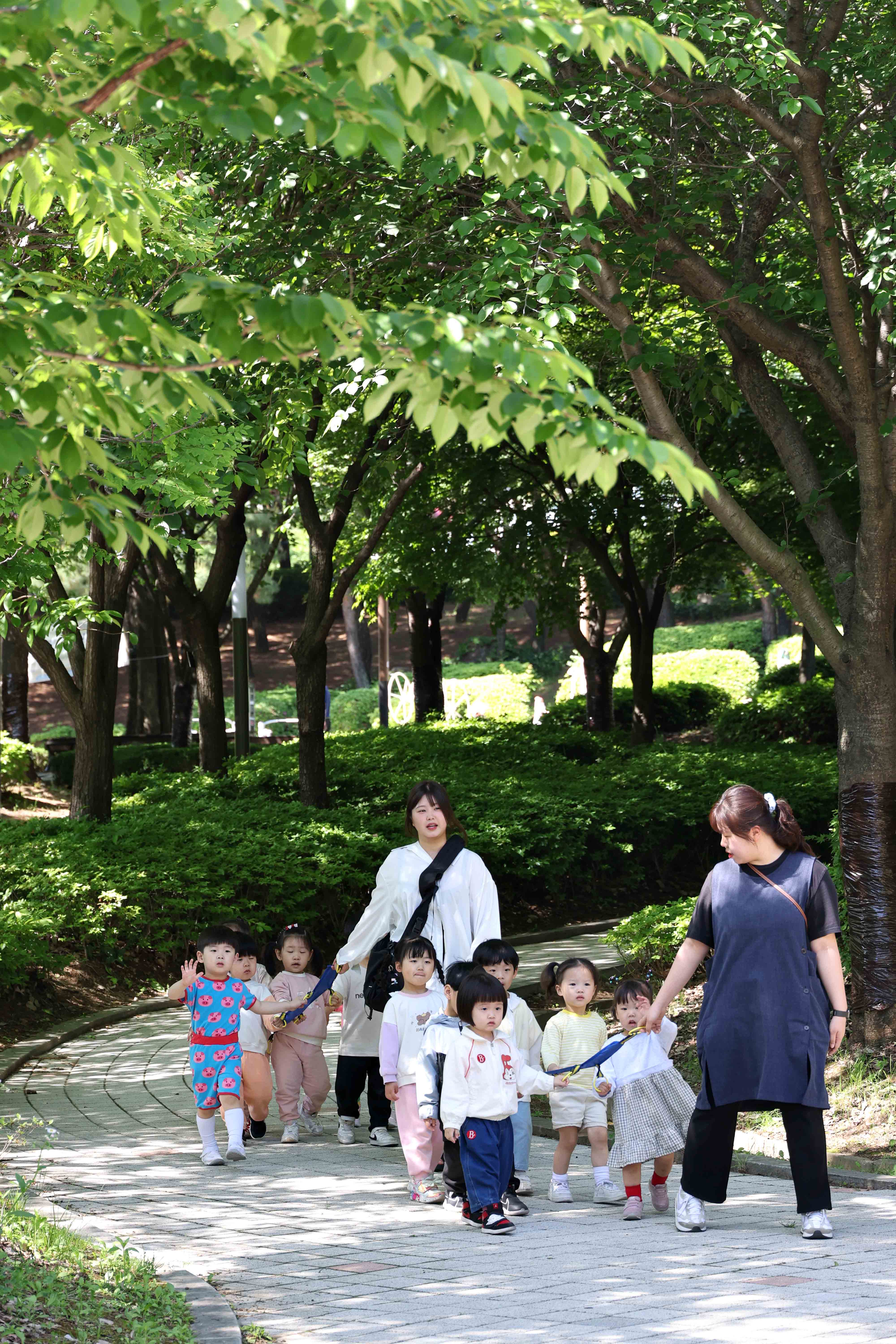 20240514_송현근린공원_유아숲_체험교육3.jpg 이미지