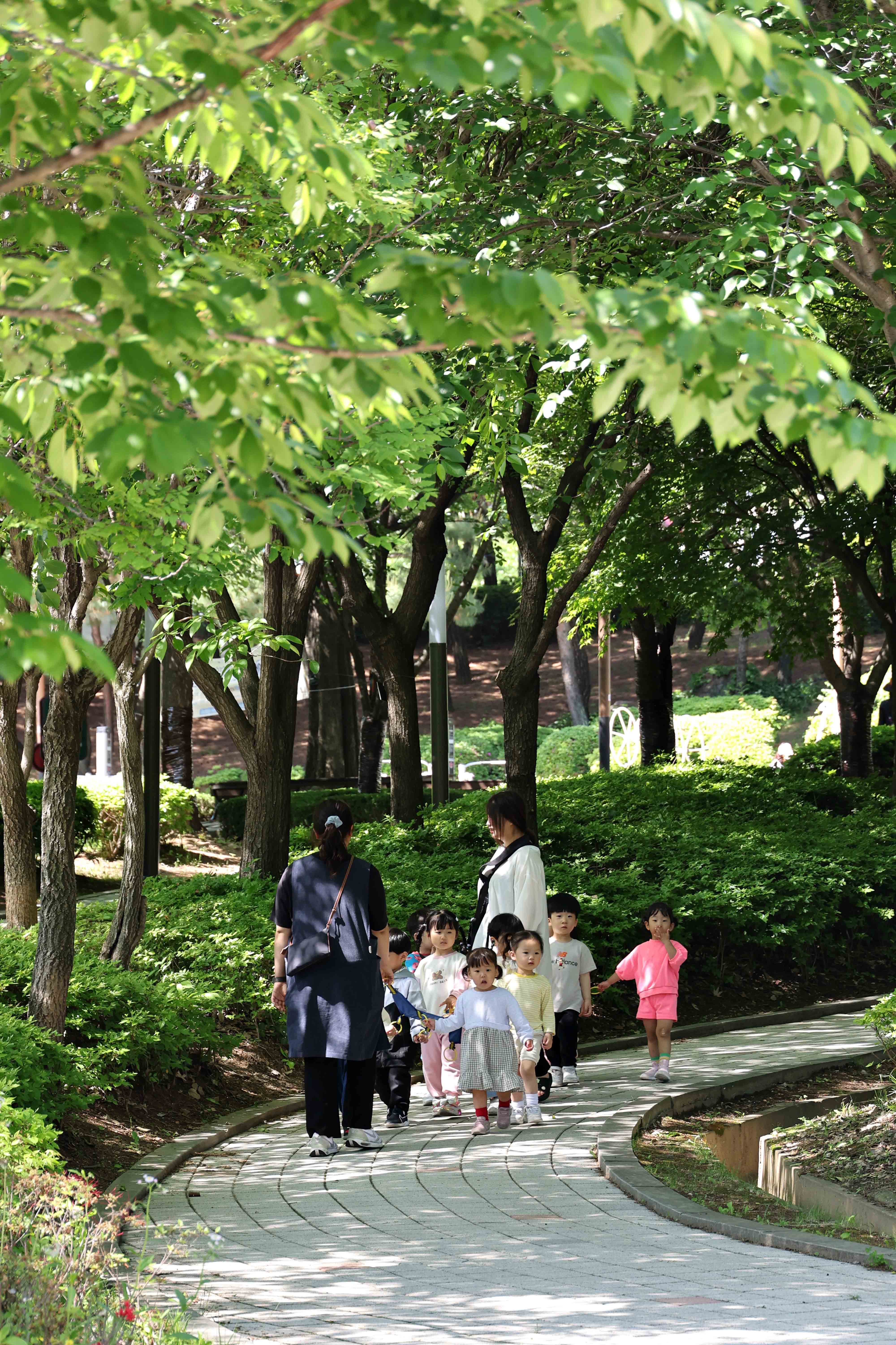 20240514_송현근린공원_유아숲_체험교육6.jpg 이미지
