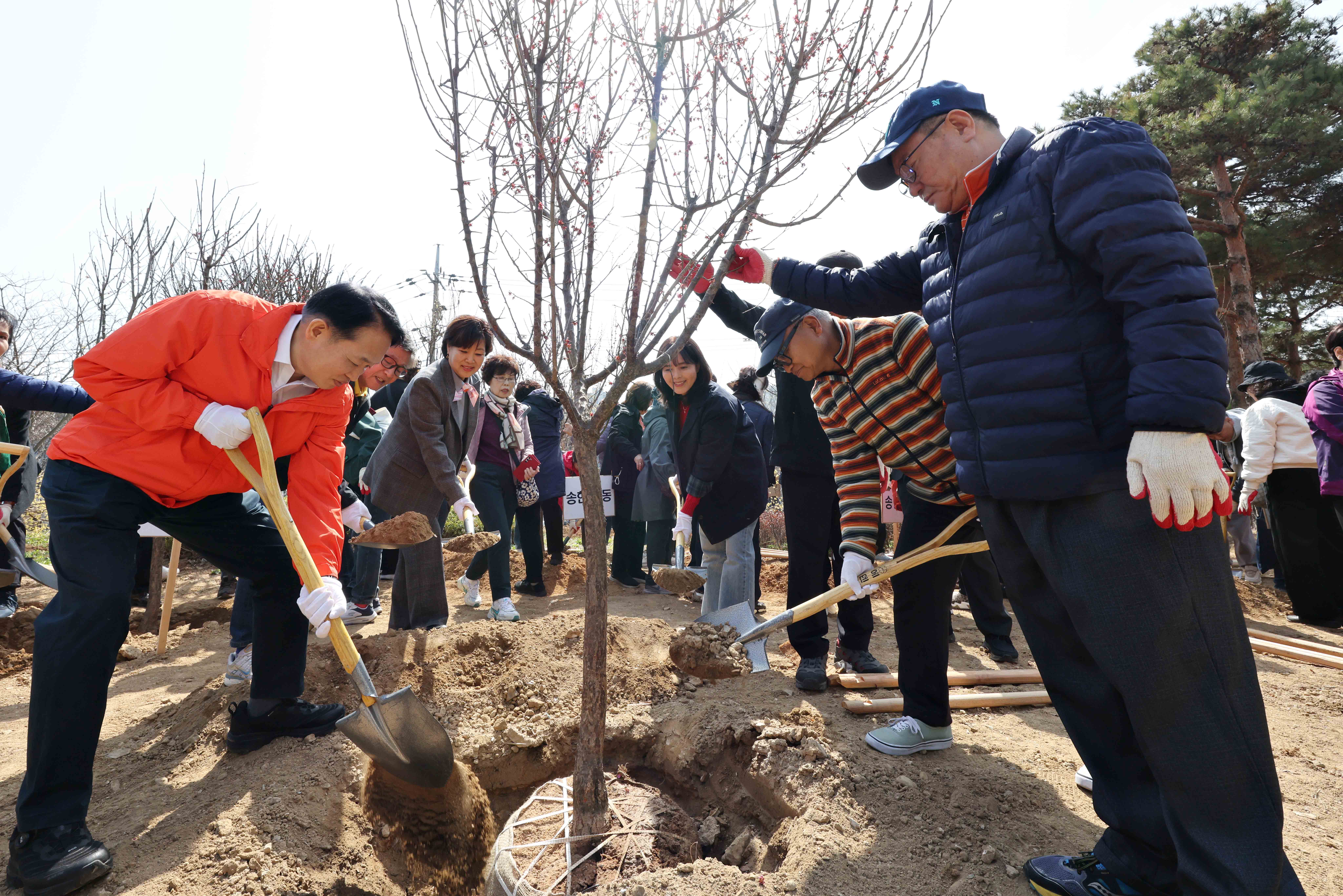 20250404_제80회_식목일_기념행사4.jpg 이미지