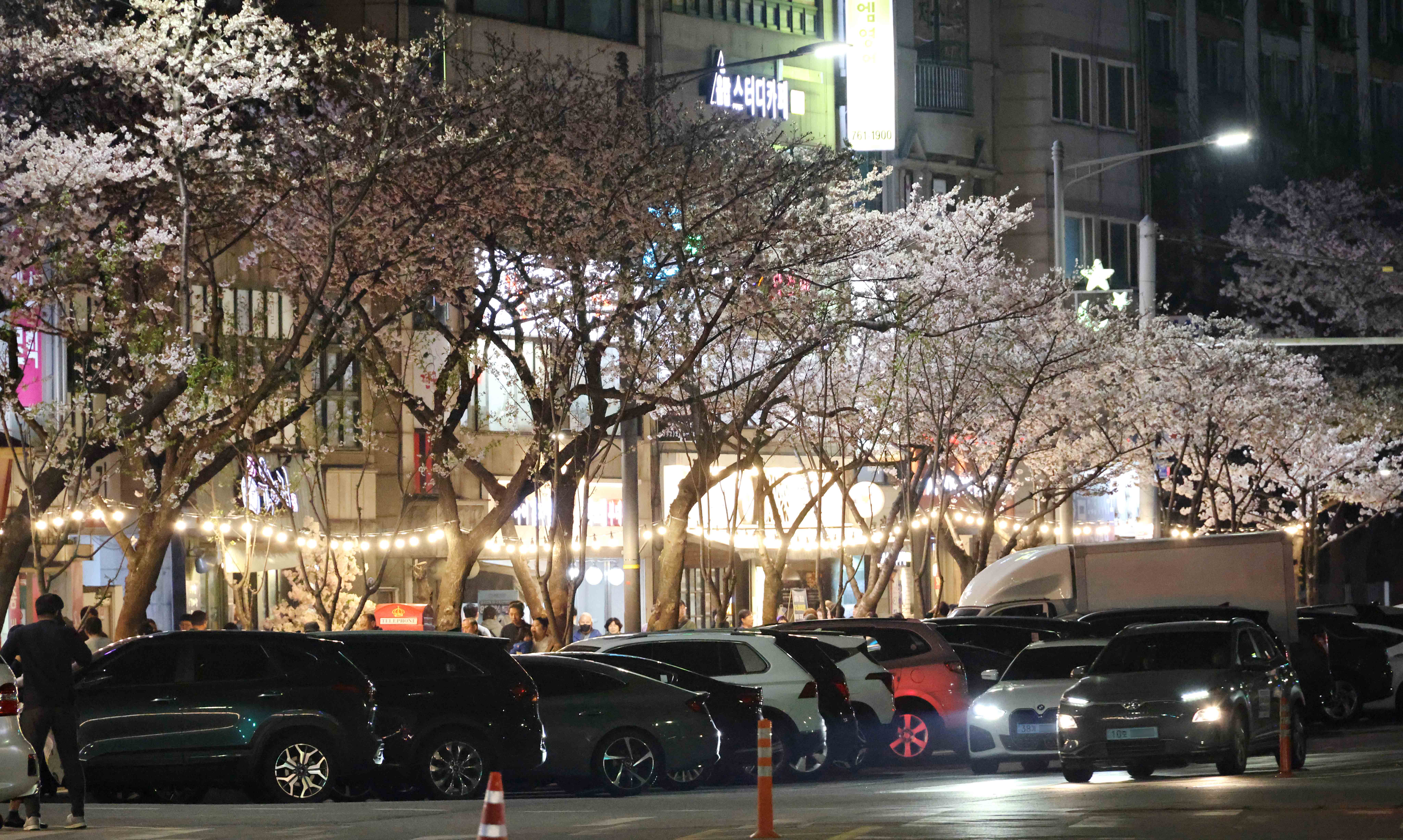 20250411_수문통_벚꽃_FESTA1.jpg 이미지