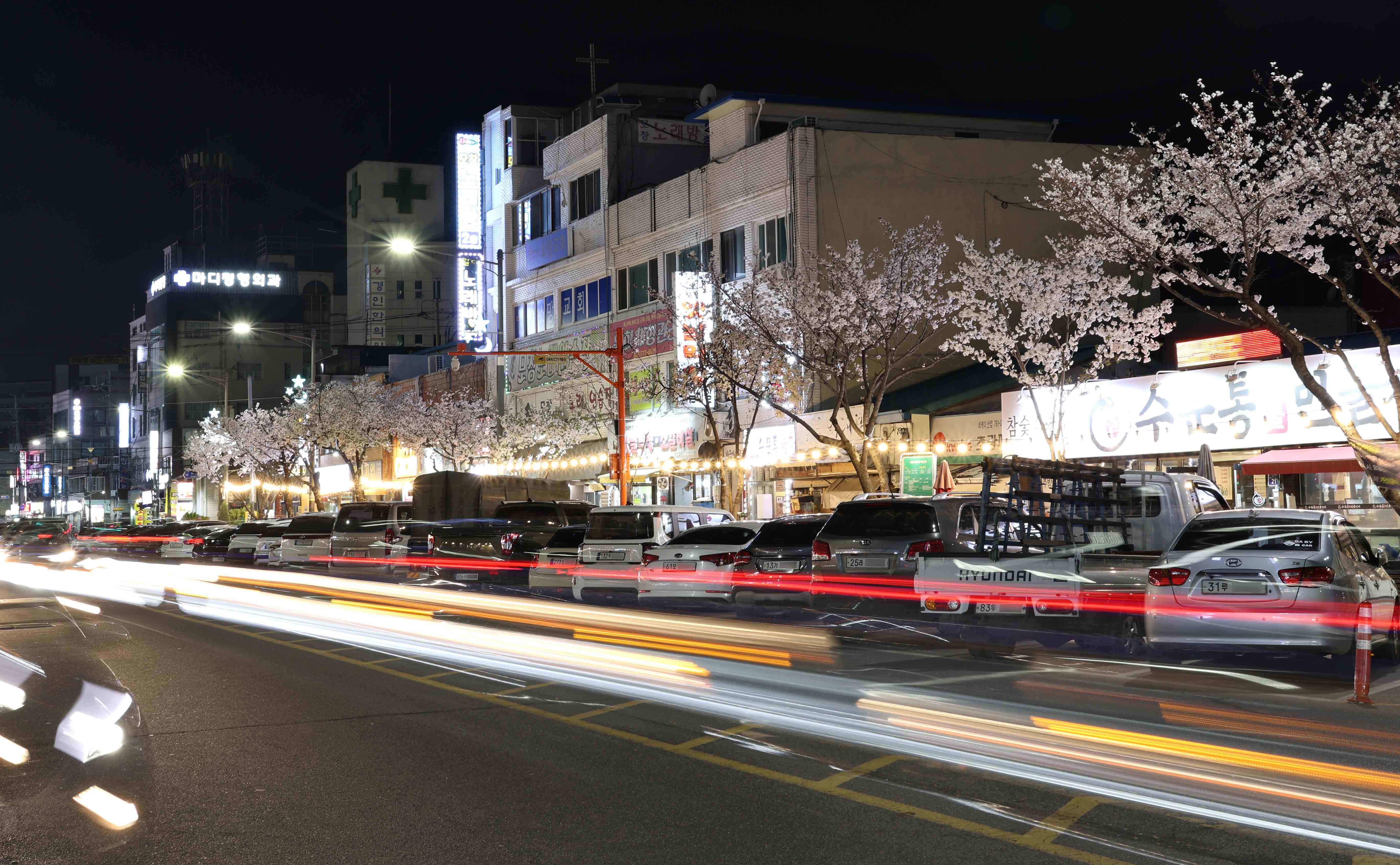 20250411_수문통_벚꽃_FESTA2.jpg 이미지