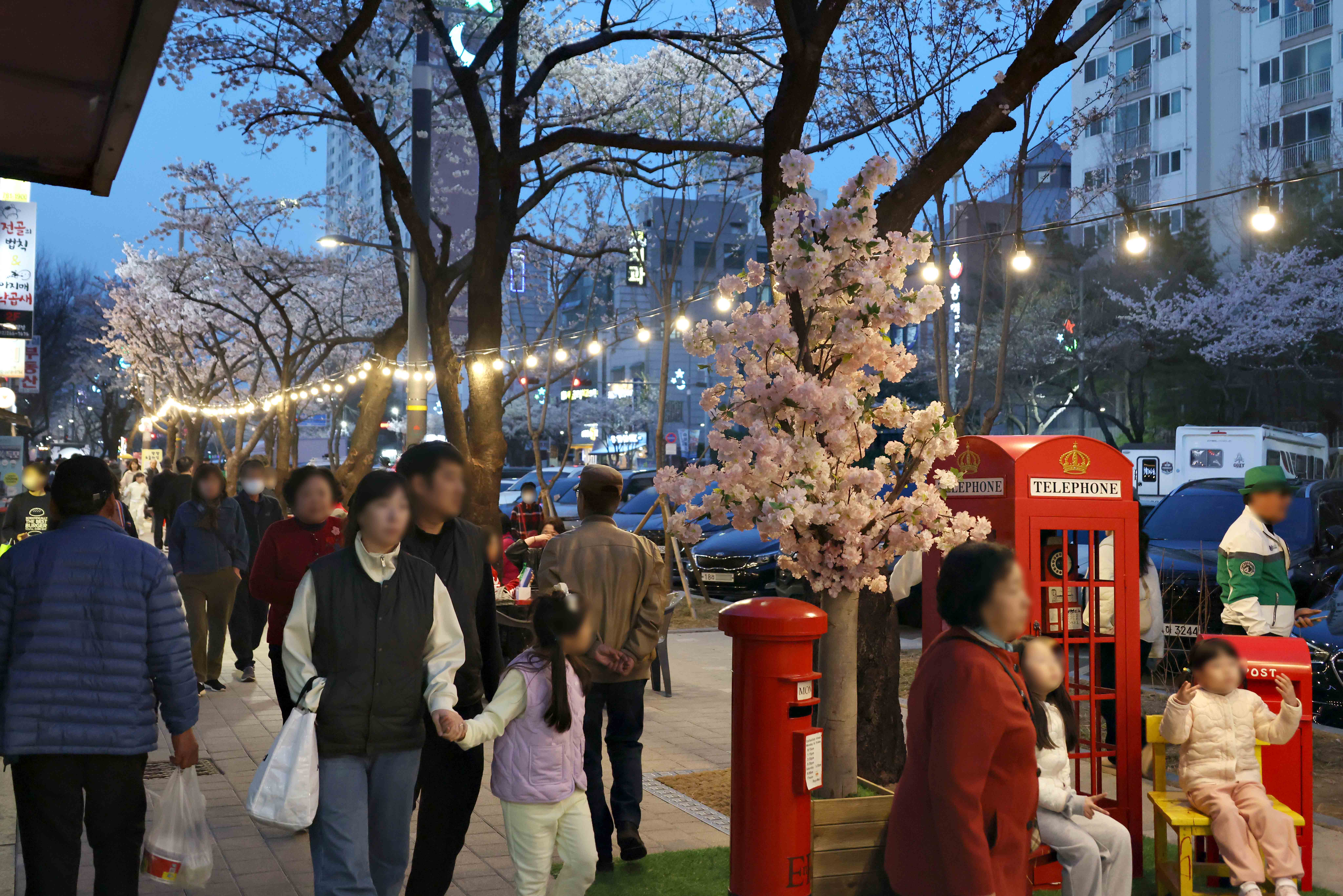 20250411_수문통_벚꽃_FESTA5.jpg 이미지