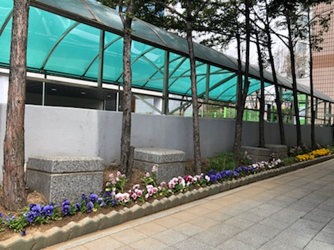 IMG_5092.jpg 이미지
