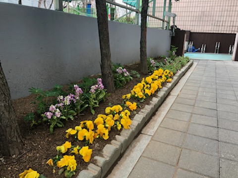 IMG_5095.jpg 이미지