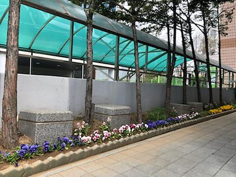 동구여성회관 화단에 예쁜 봄꽃이 피었습니다.^^ 사진