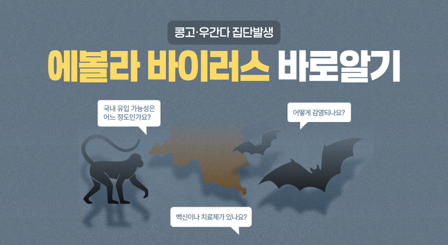 콩고·우간다 집단발생
에볼라 바이러스 바로알기
국내 유입 가능성은 어느 정도인가요?
어떻게 감염되나요?
백신이나 치료제가 있나요?