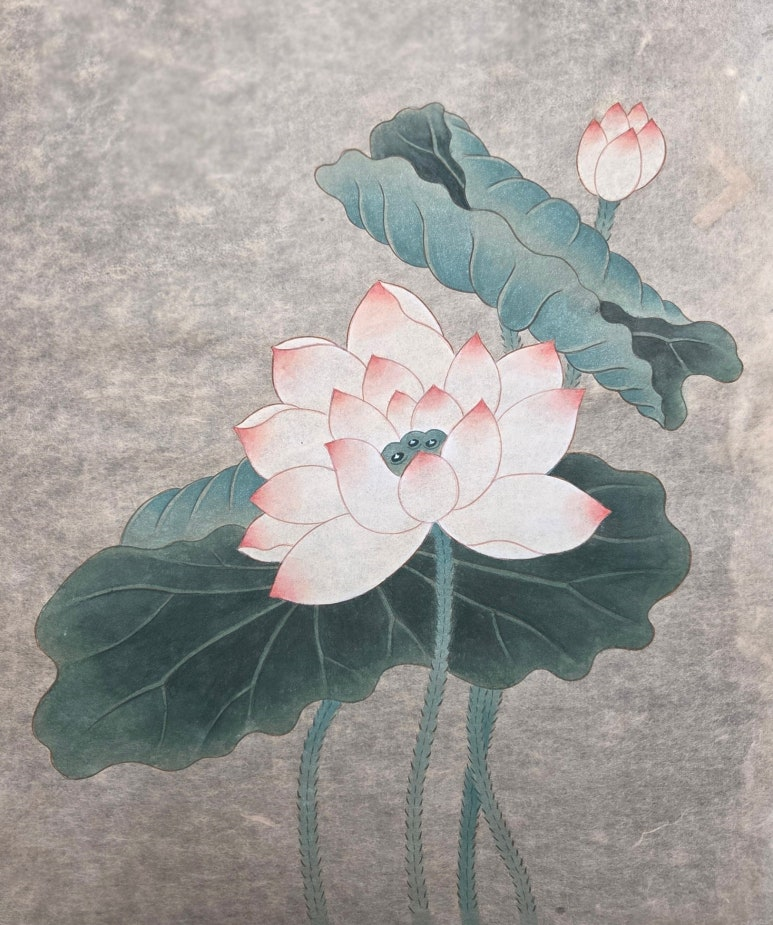 [동구샘터 34호점 : 가온화] 연화도 그리기(5회/수요일)