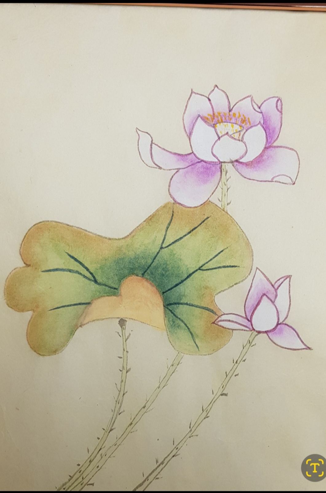 소망담은 연화도, 모란도 그리기(민화)