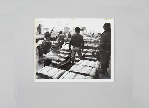 사진(보도 기사) 1번째 사진